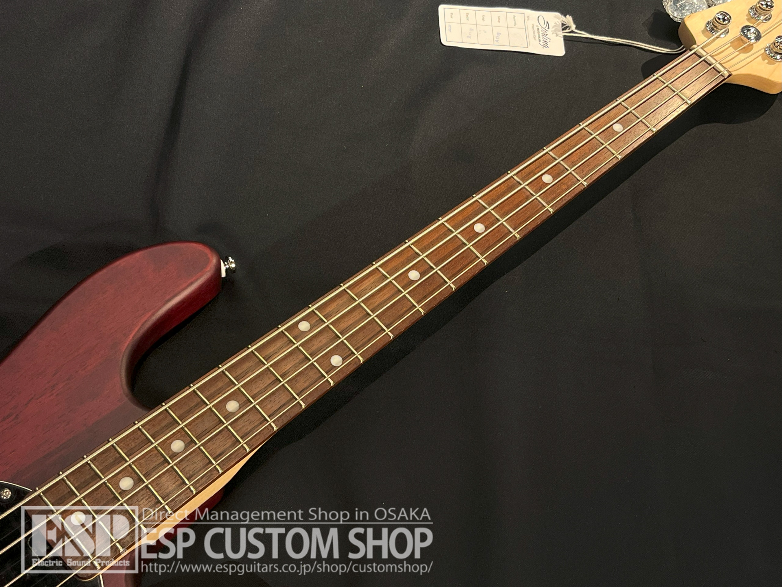 【即納可能】Sterling by MUSICMAN RAY4 / Walnut Satin 大阪店