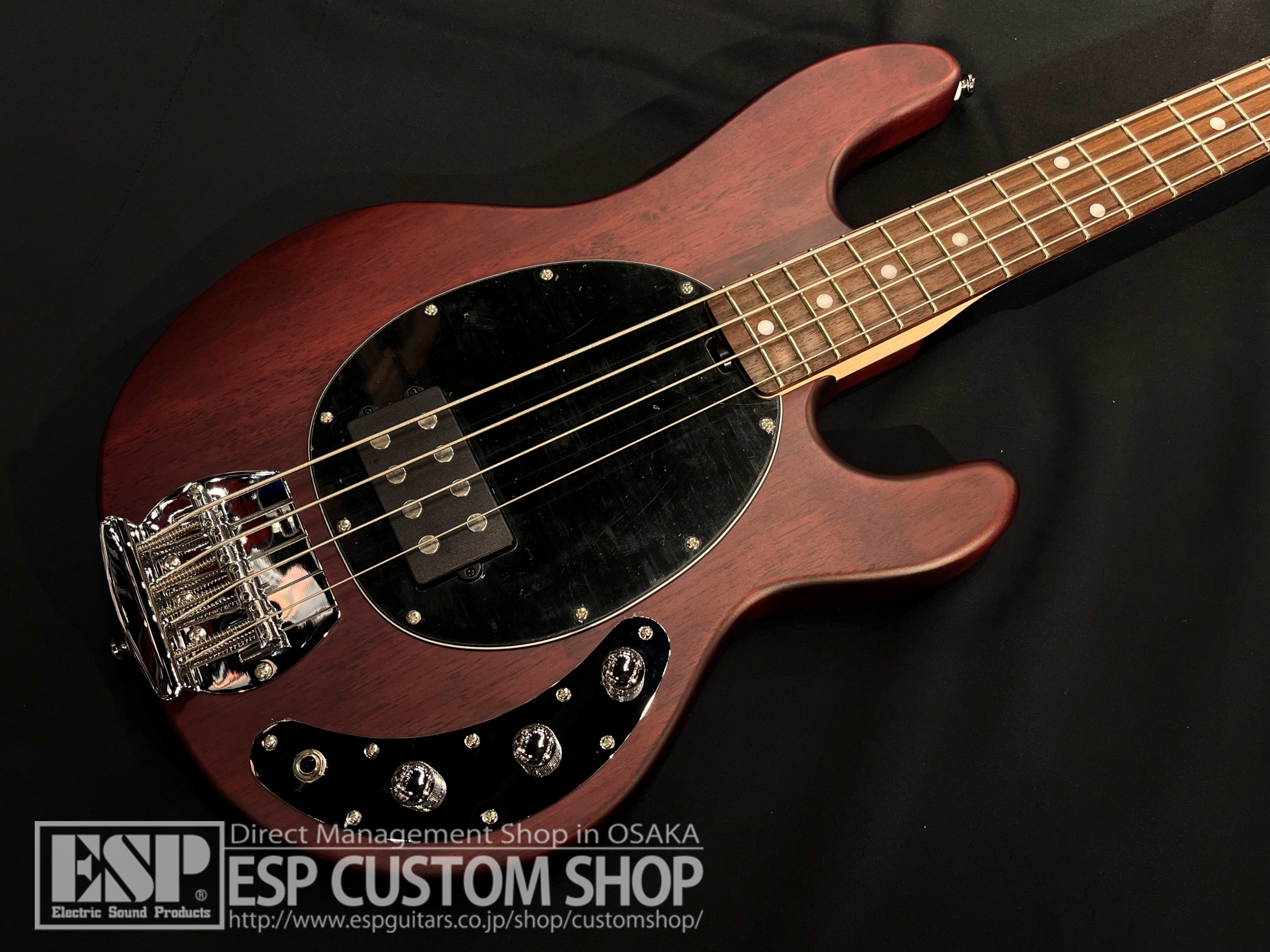 【即納可能】Sterling by MUSICMAN RAY4 / Walnut Satin 大阪店