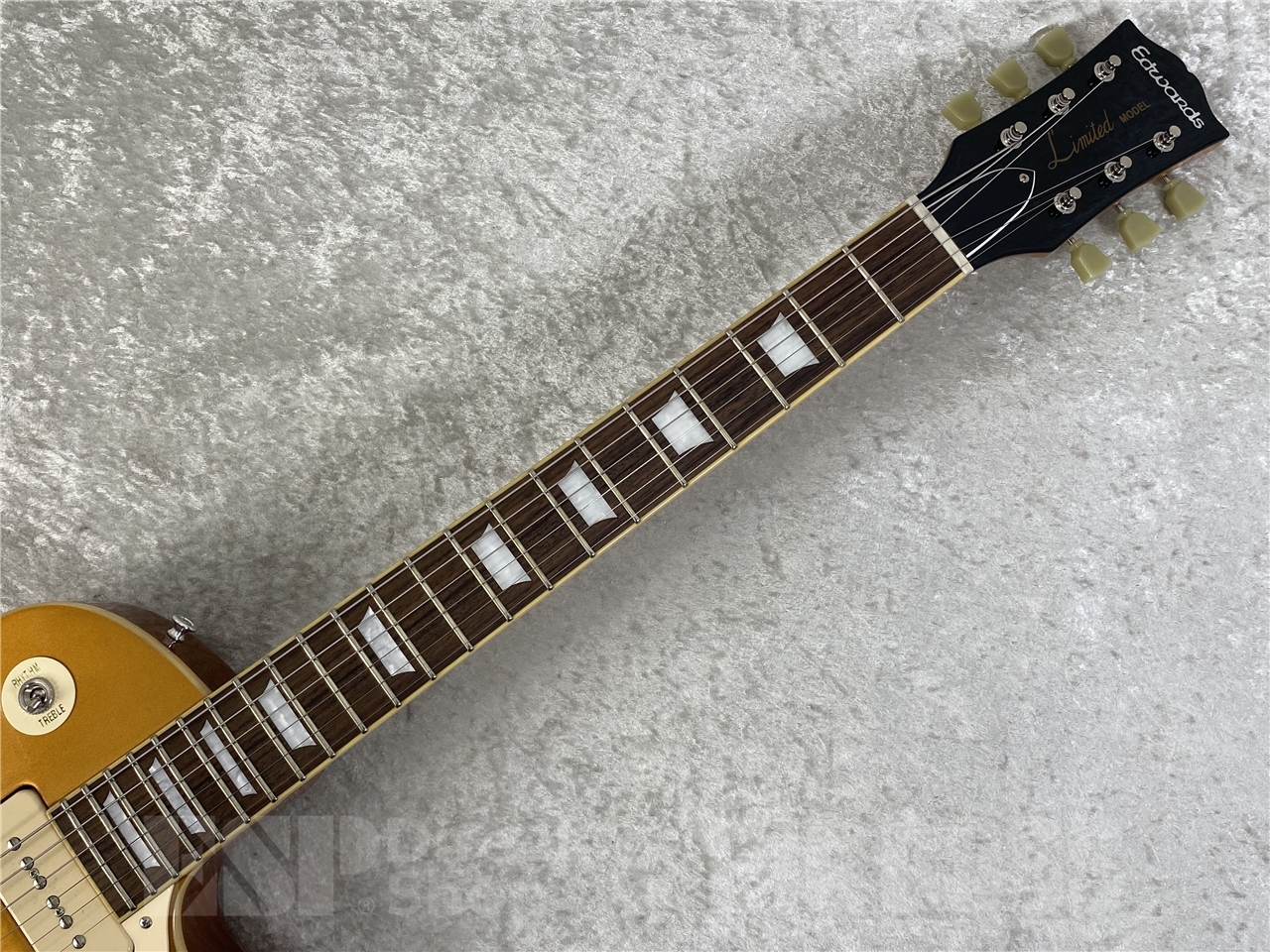 【即納可能】EDWARDS(エドワーズ) E-LP-STD/P(GO) お茶の水駅前店(東京) - 7