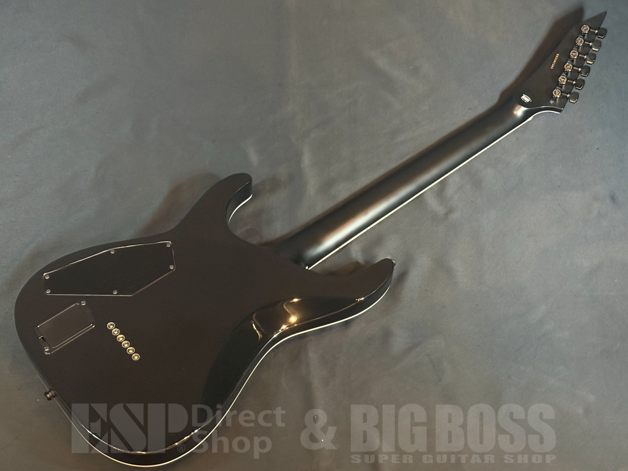 【即納可能】E-II(イーツー) HORIZON NT-II(ホライゾン) / See Thru Black Cherry Sunburst 大阪店 - 6