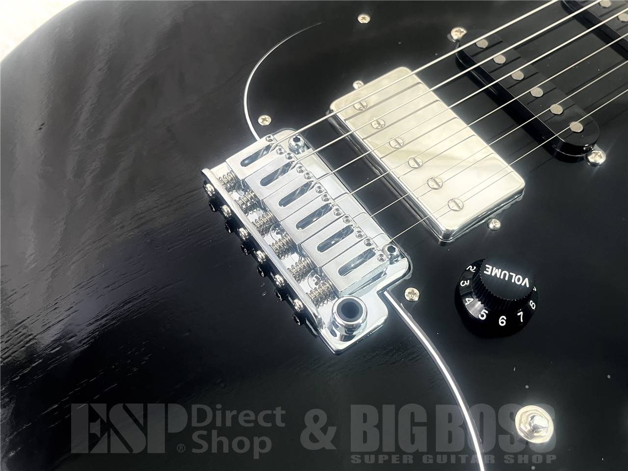 【即納可能】EDWARDS(エドワーズ) E-SNAPPER-AS/M (Solid Black) お茶の水駅前店・別館 - 3