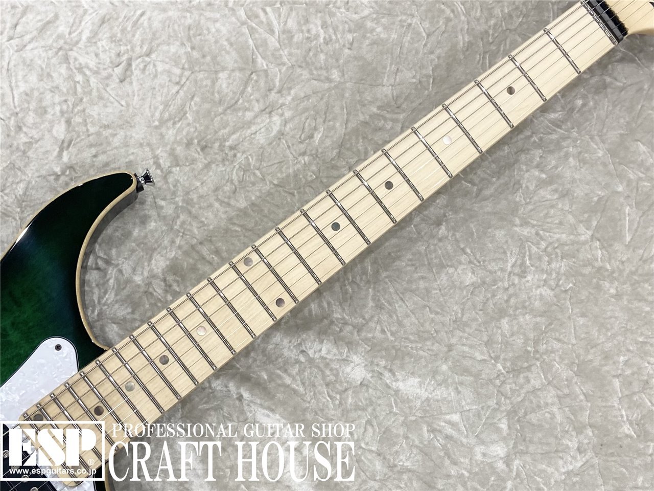 【即納可能】Vigier Guitars Excalibur Special HSH / Mysterious Green /M 渋谷店