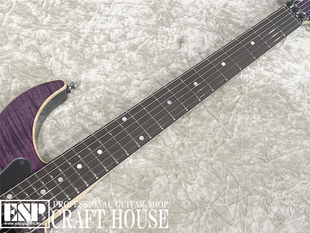 【即納可能】Vigier Guitars Excalibur Custom VE6-CVC1 / Amethyst Purple 渋谷店