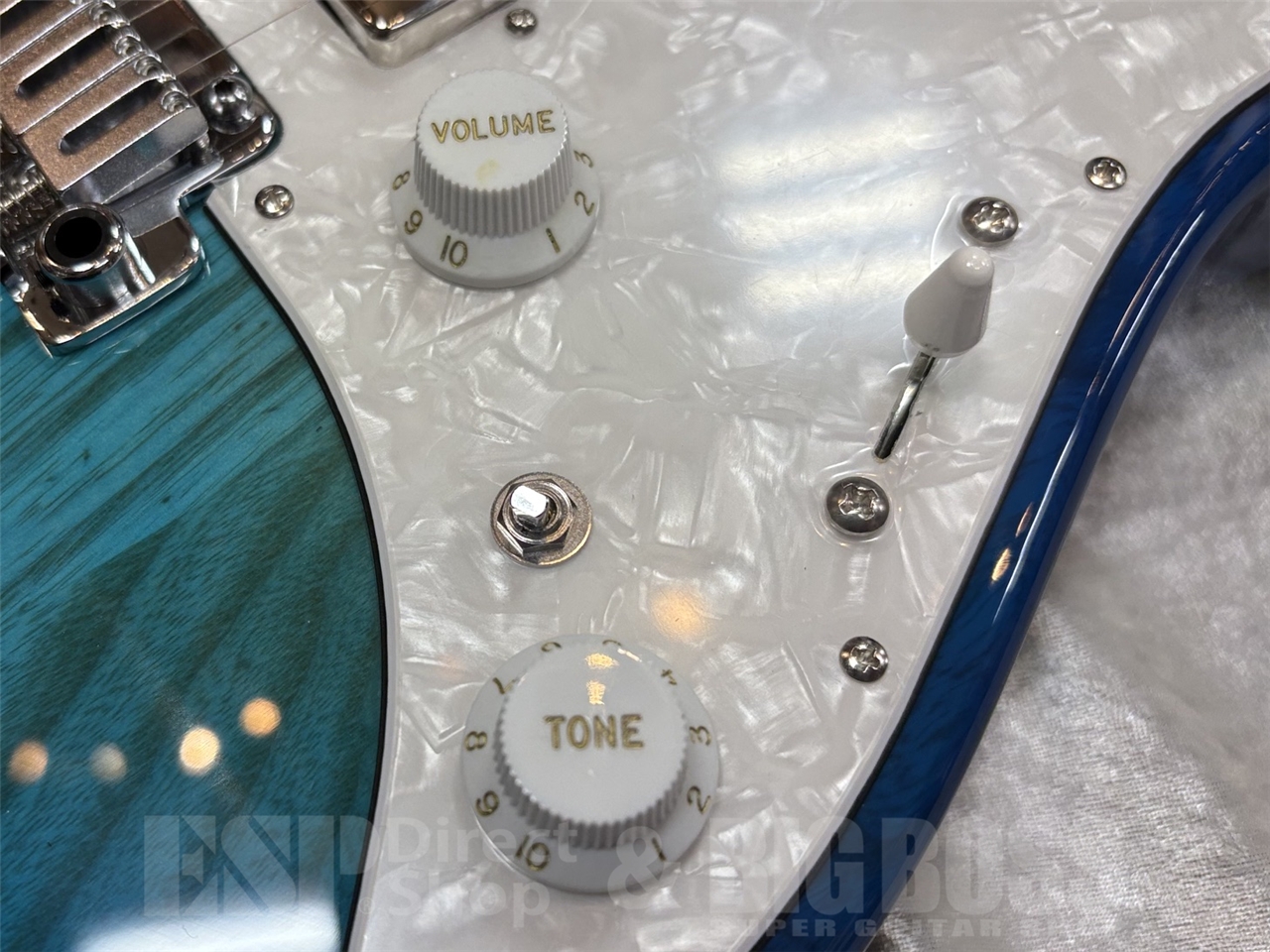 【即納可能】EDWARDS E-SNAPPER-AS/M /See Thru Blue Sunburst GWS - 5
