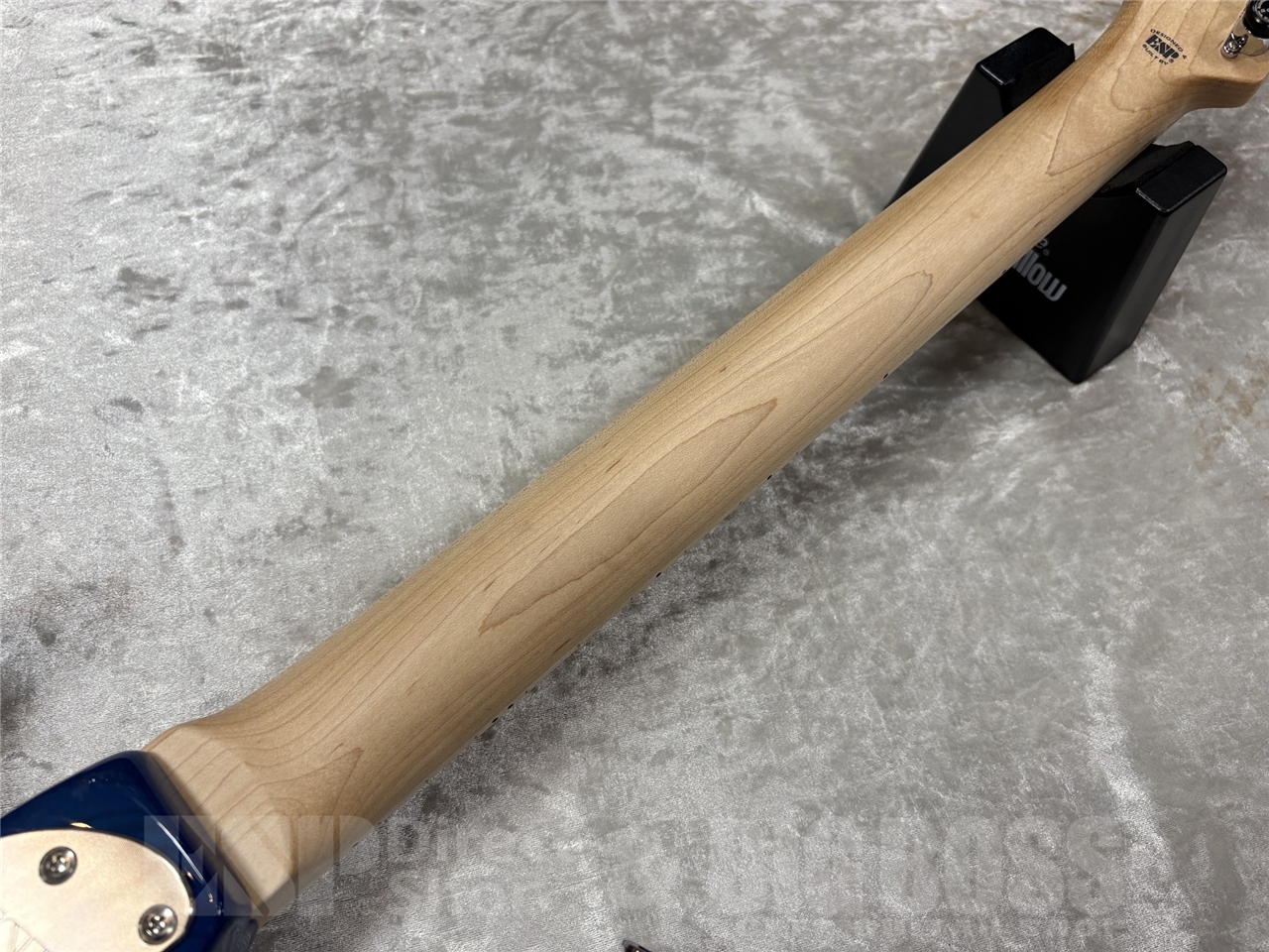 【即納可能】EDWARDS E-SNAPPER-AS/M /See Thru Blue Sunburst GWS - 10