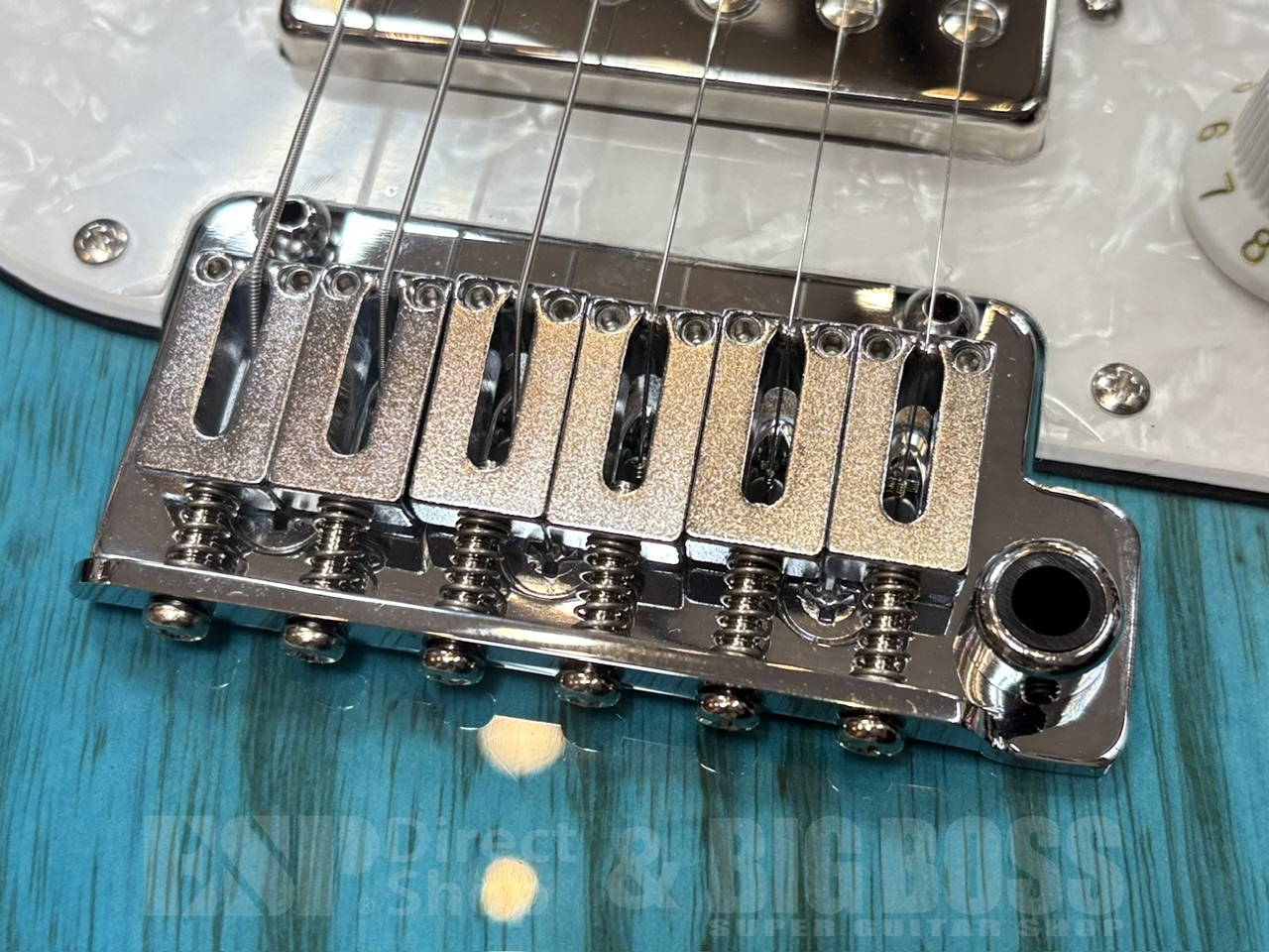 【即納可能】EDWARDS E-SNAPPER-AS/M /See Thru Blue Sunburst GWS - 3