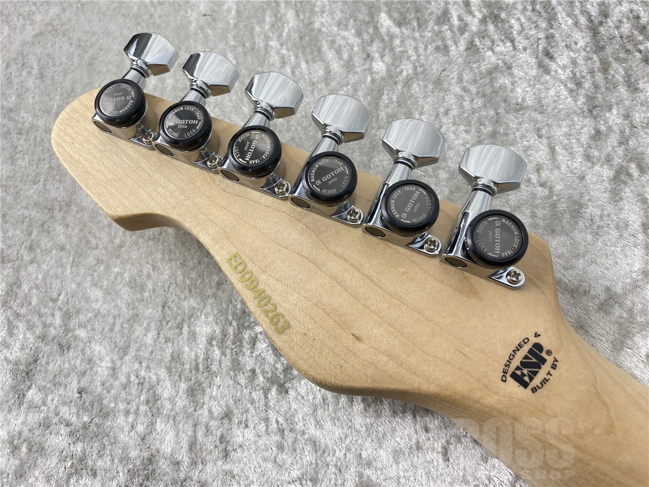 【即納可能】EDWARDS(エドワーズ) E-SNAPPER-AS/M (See Thru Blue Sunburst) お茶の水駅前店(東京) - 10