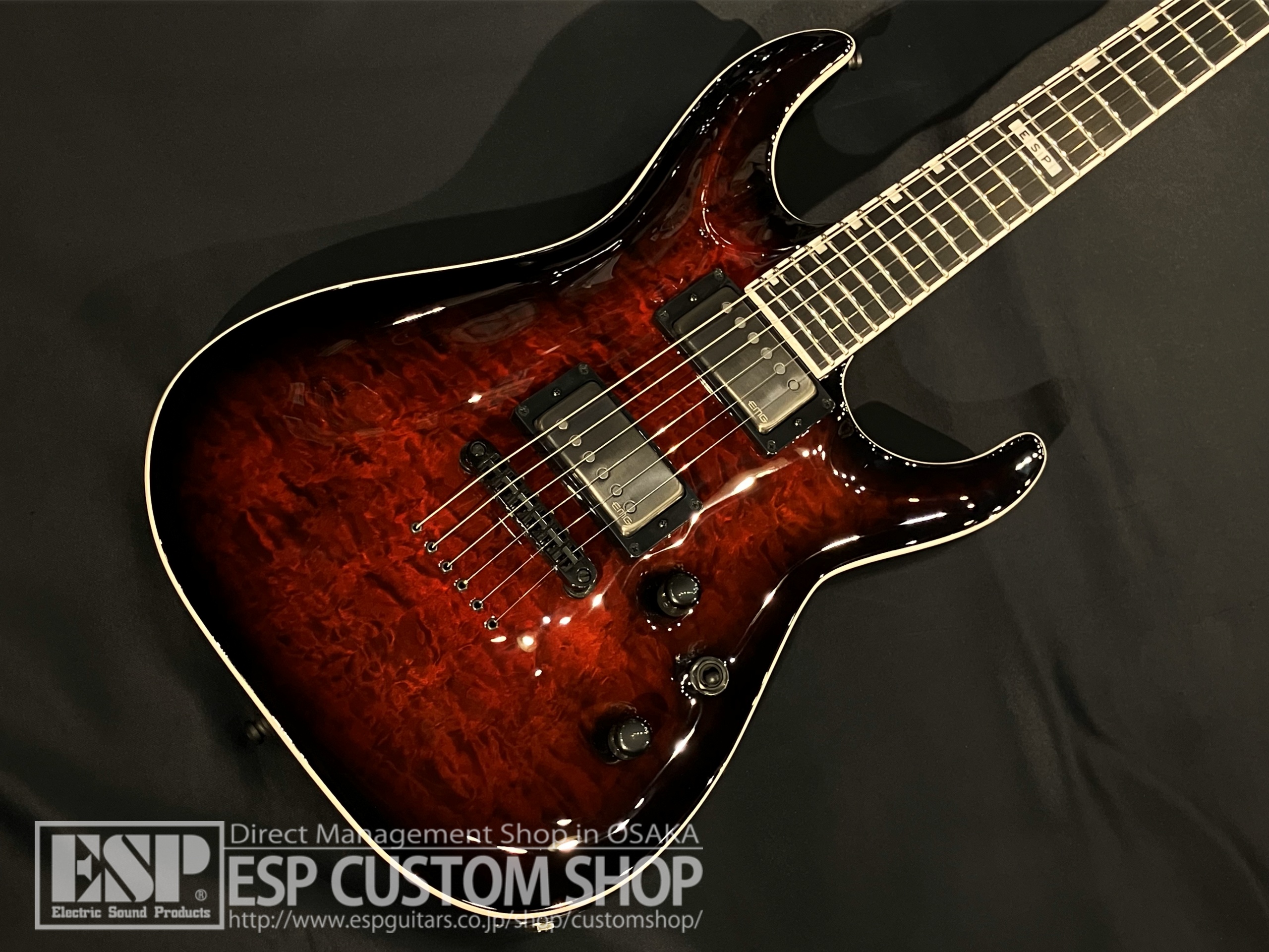 【即納可能】E-II(イーツー) HORIZON NT-II See Thru Black Cherry Sunburst 大阪店