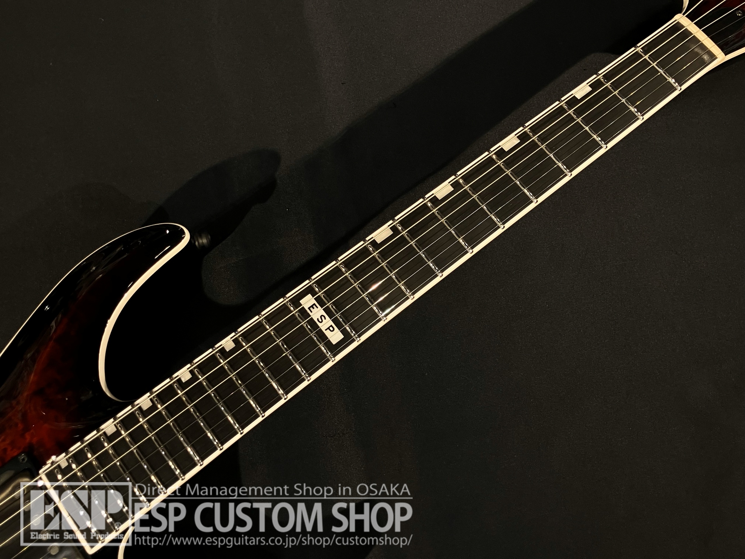 【即納可能】E-II(イーツー) HORIZON NT-II See Thru Black Cherry Sunburst 大阪店