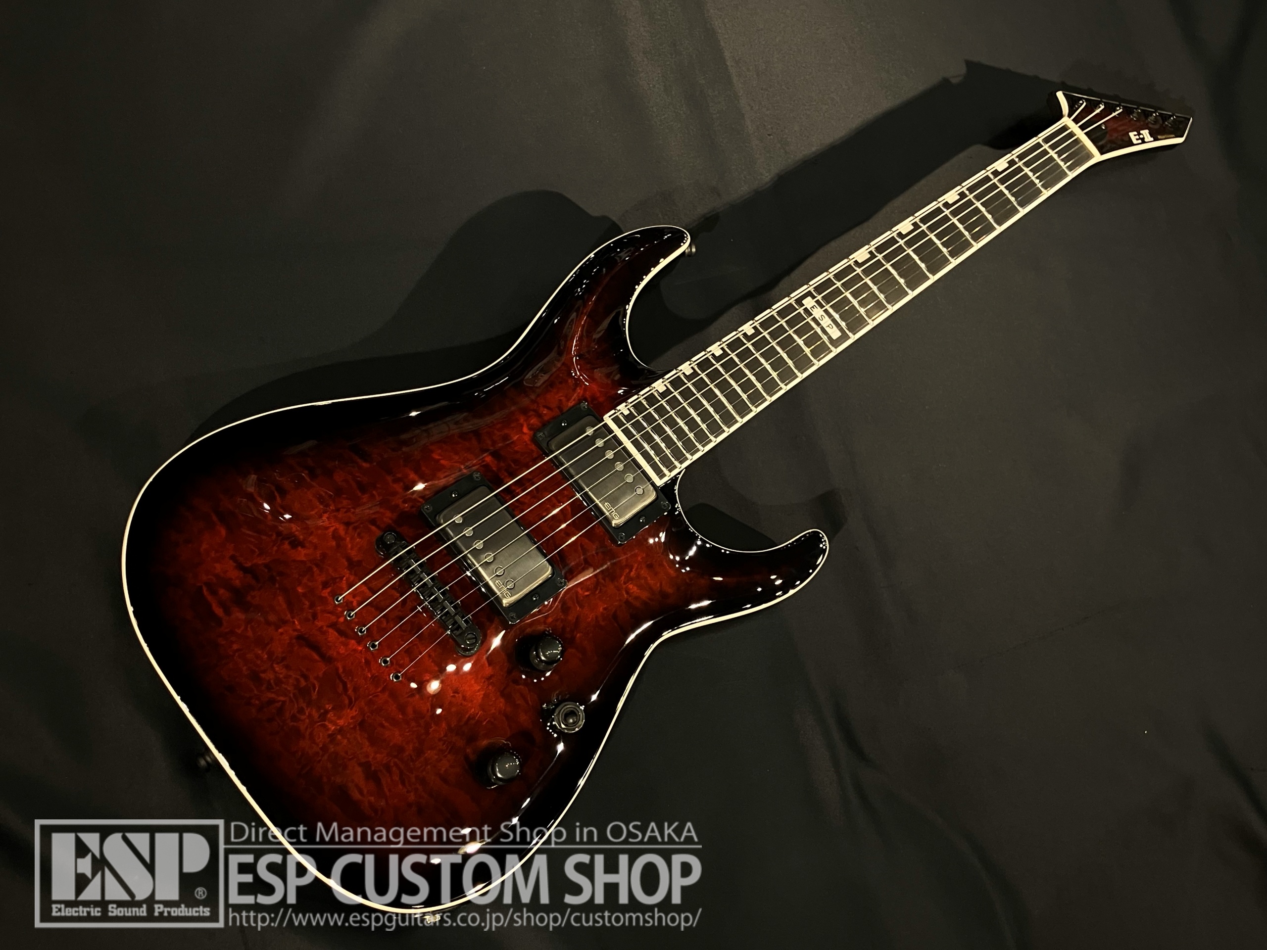 【即納可能】E-II(イーツー) HORIZON NT-II See Thru Black Cherry Sunburst 大阪店