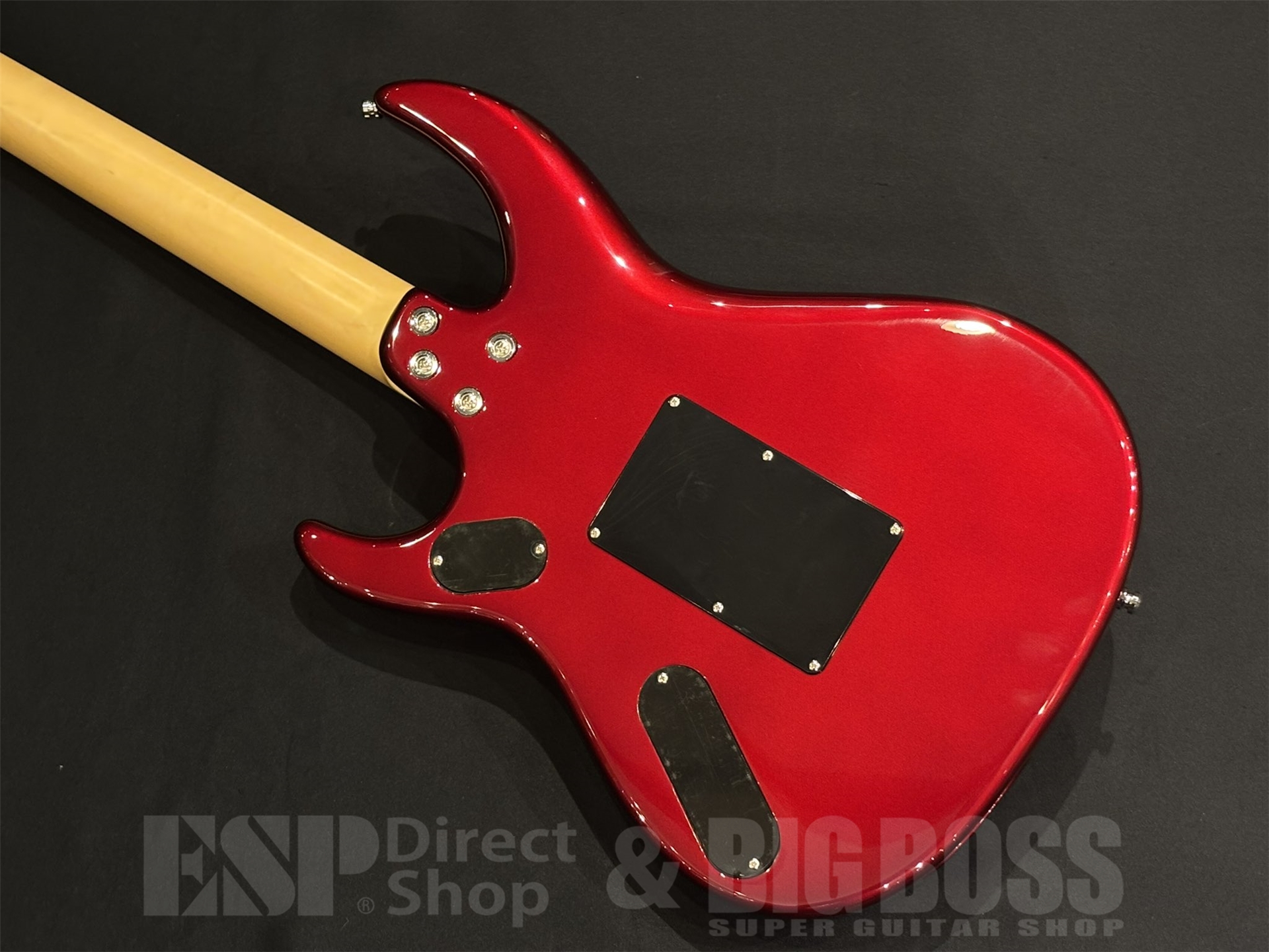 【即納可能】Killer (キラー) KG-Fascist Vice II / Delicious red 京都店