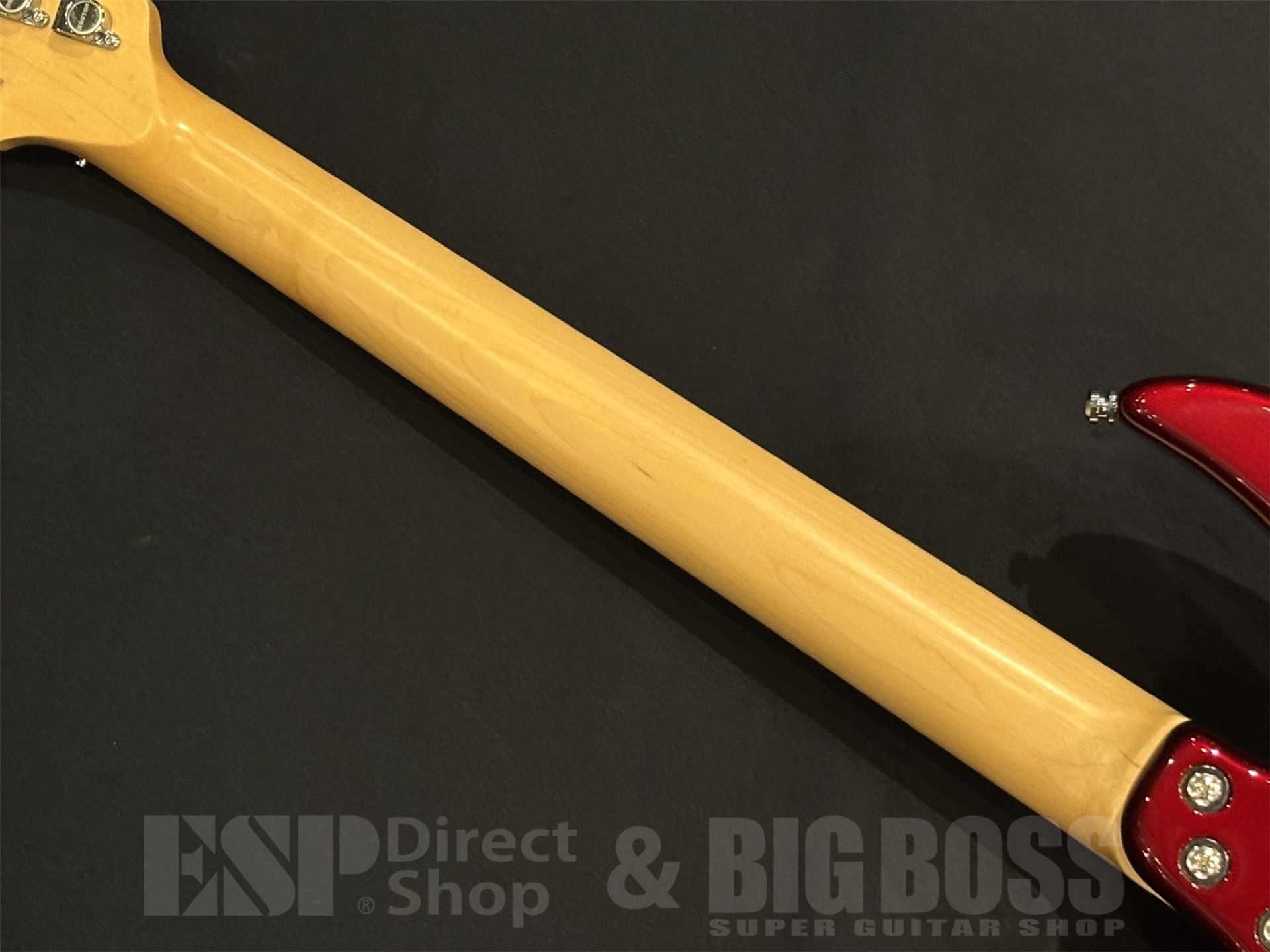 【即納可能】Killer (キラー) KG-Fascist Vice II / Delicious red 京都店