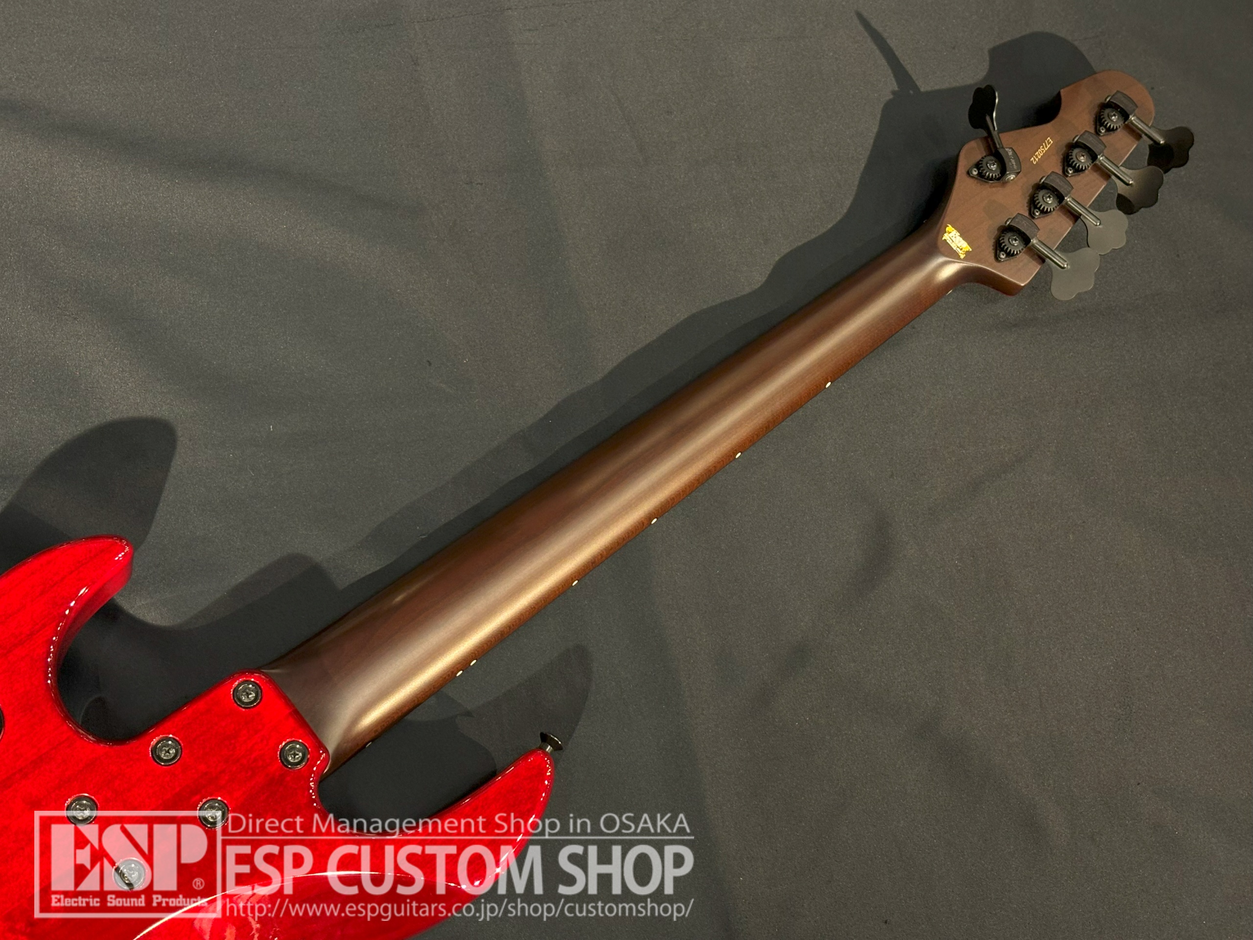 【即納可能/中古品】ESP(イーエスピー) AMAZE-5-190 (BULL ZEICHEN 88, Rayflower/IKUOモデル) 大阪店