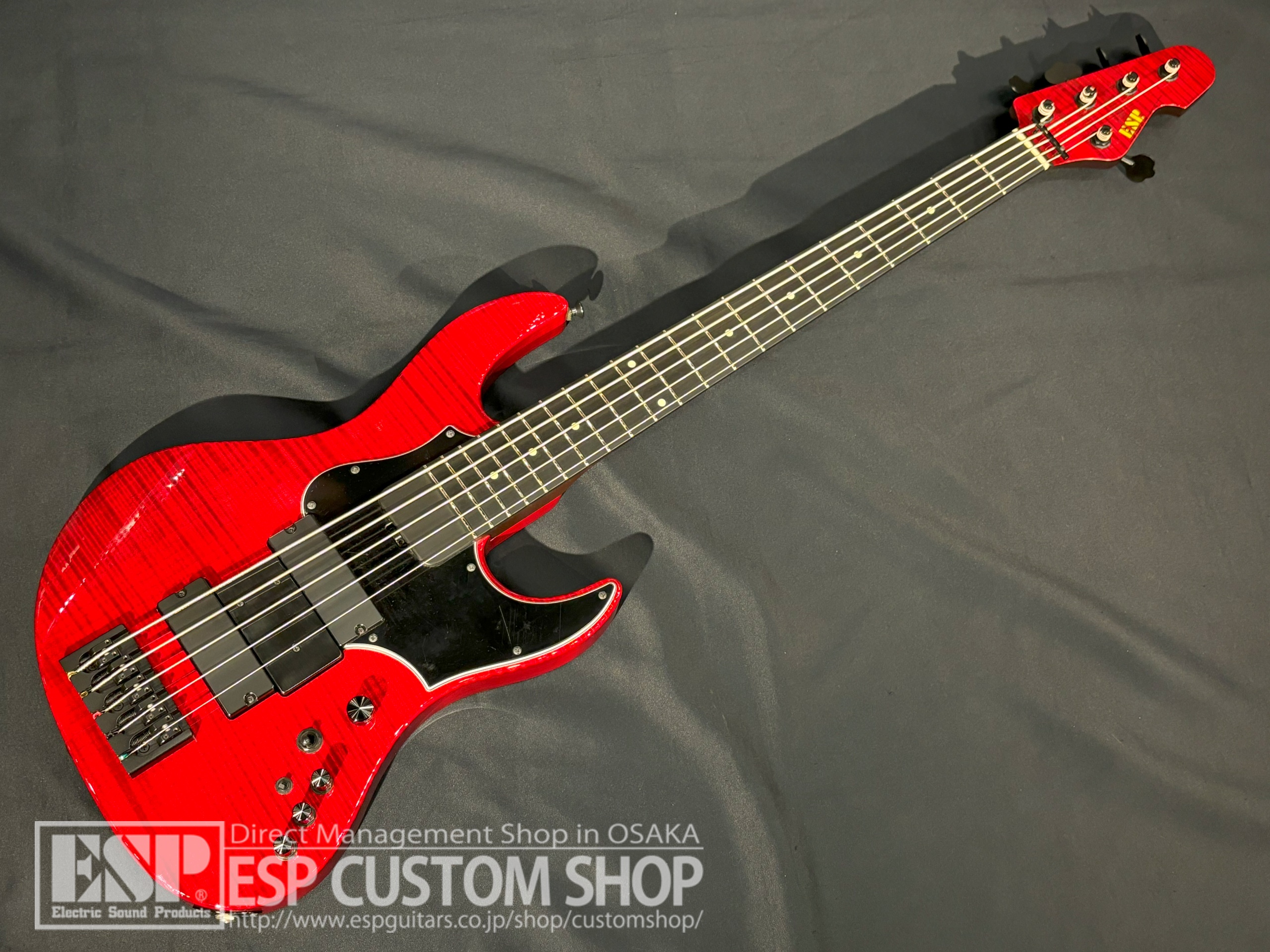 【即納可能/中古品】ESP(イーエスピー) AMAZE-5-190 (BULL ZEICHEN 88, Rayflower/IKUOモデル) 大阪店