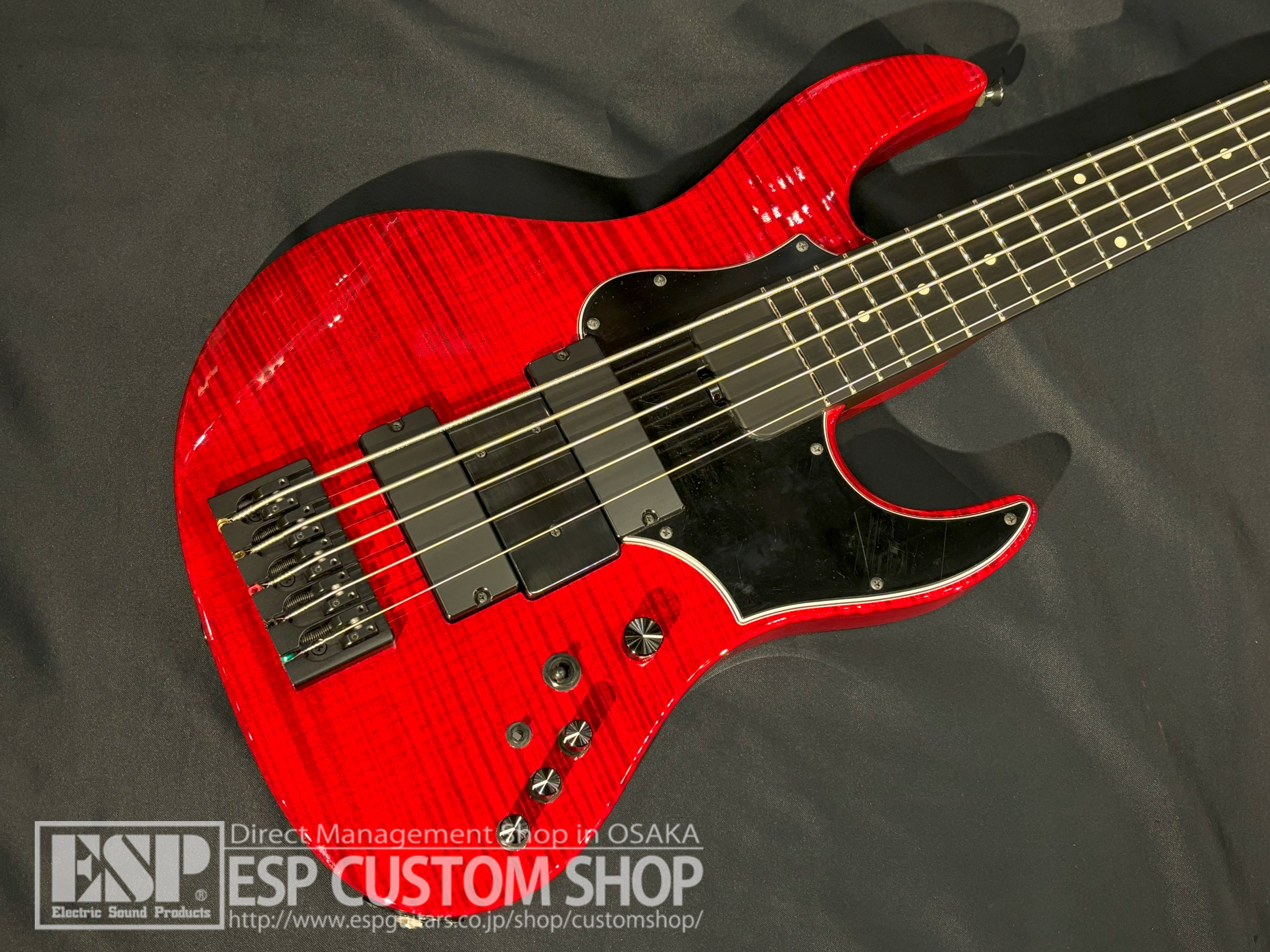 【即納可能/中古品】ESP(イーエスピー) AMAZE-5-190 (BULL ZEICHEN 88, Rayflower/IKUOモデル) 大阪店