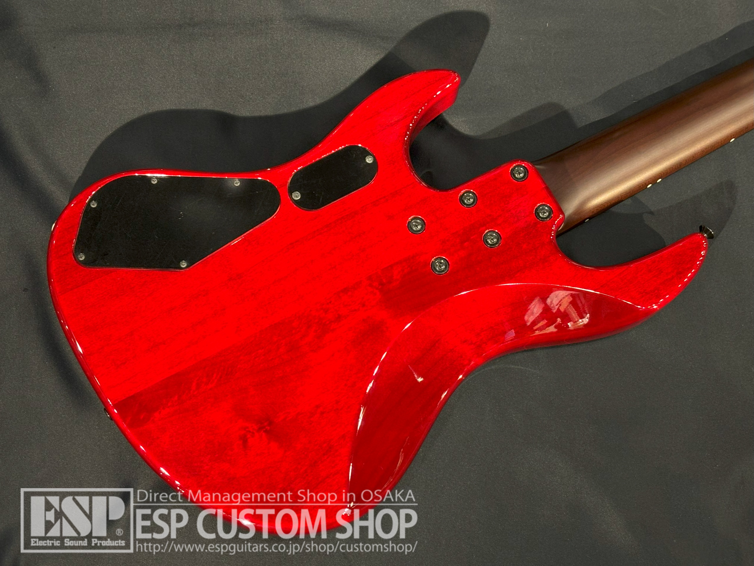 【即納可能/中古品】ESP(イーエスピー) AMAZE-5-190 (BULL ZEICHEN 88, Rayflower/IKUOモデル) 大阪店