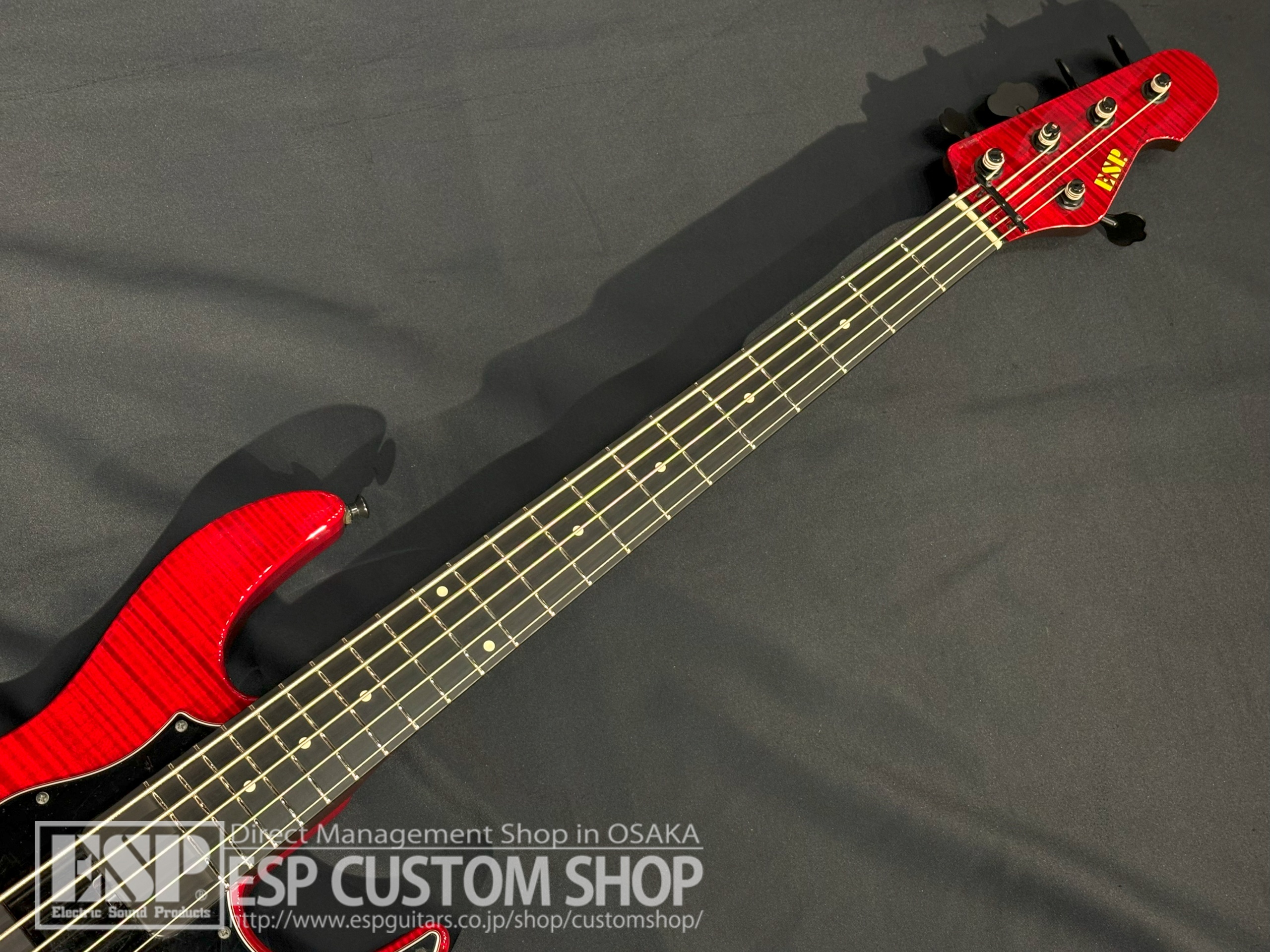 【即納可能/中古品】ESP(イーエスピー) AMAZE-5-190 (BULL ZEICHEN 88, Rayflower/IKUOモデル) 大阪店