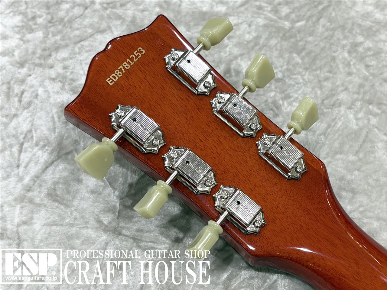 【即納可能】EDWARDS E-LP-STD / Vintage Honey Burst 渋谷店