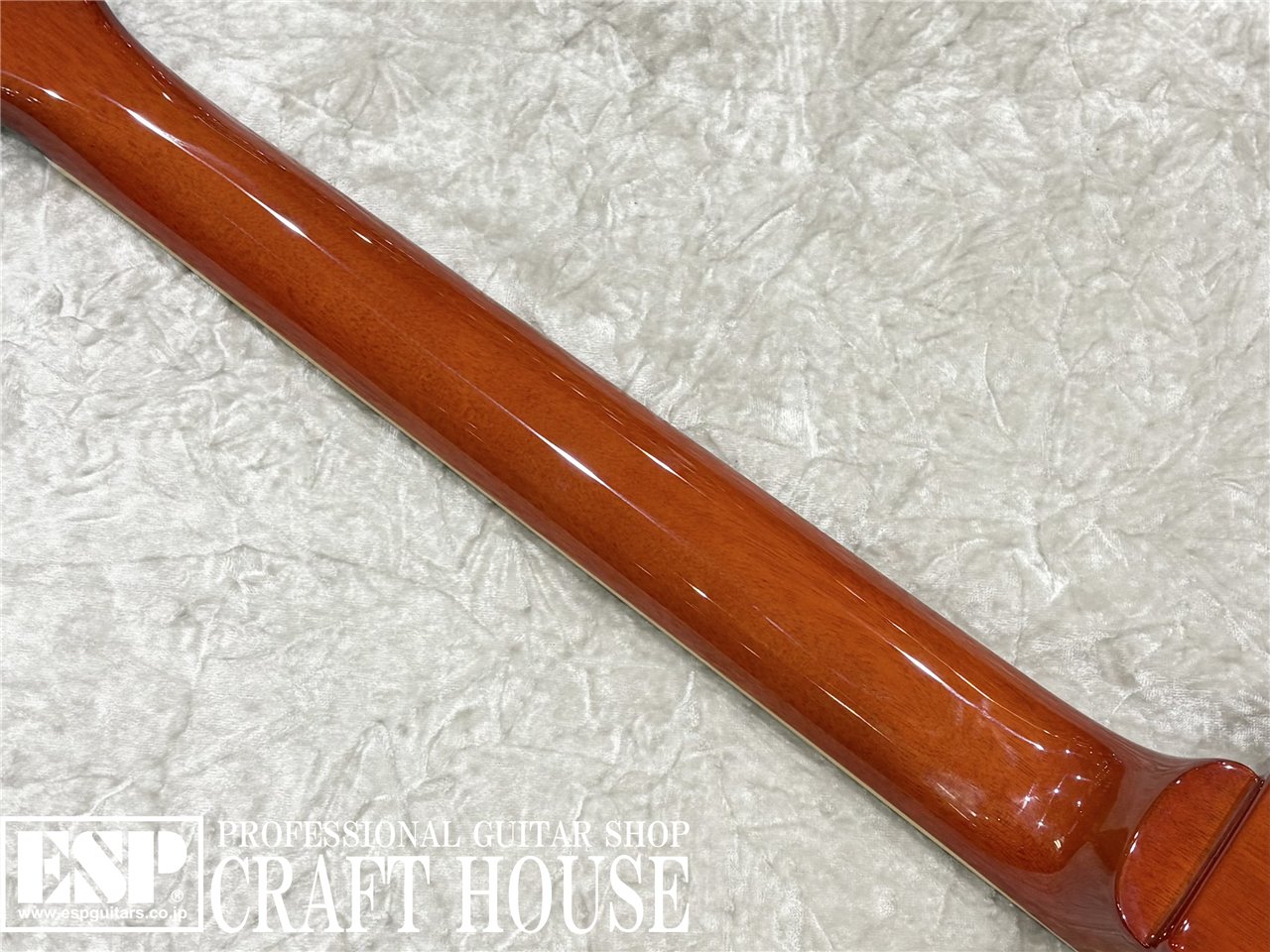 【即納可能】EDWARDS E-LP-STD / Vintage Honey Burst 渋谷店