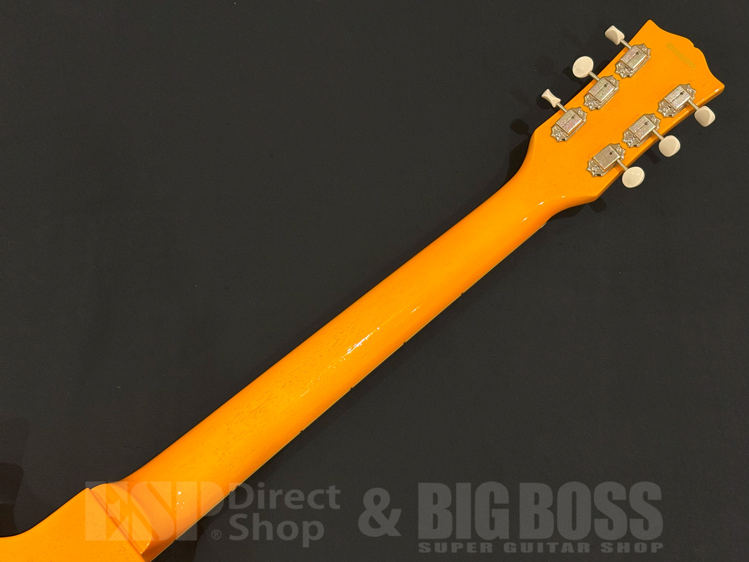 【即納可能】EDWARDS(エドワーズ) E-LS-LTD / TV Yellow 大阪店