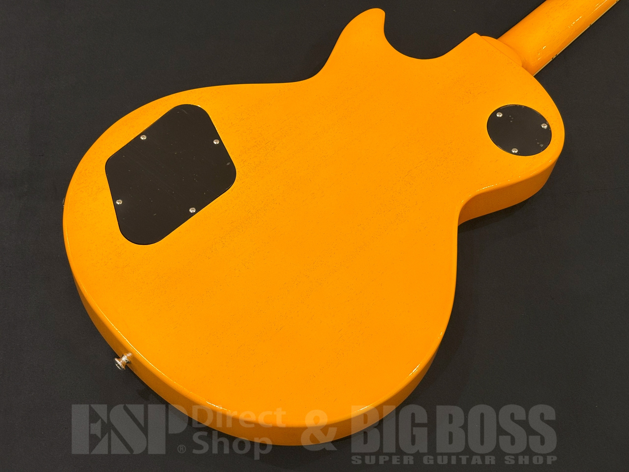 【即納可能】EDWARDS(エドワーズ) E-LS-LTD / TV Yellow 大阪店