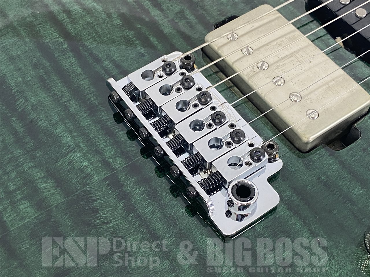 【即納可能/新品特価】Chapman Guitars(チャップマンギターズ) Scout Traditional / Wildwood お茶の水駅前店(東京) - 5