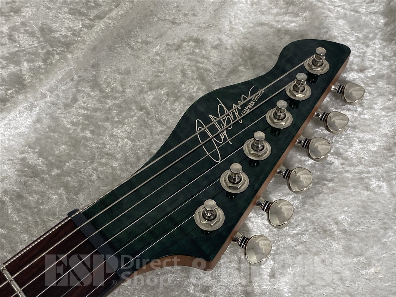 【即納可能/新品特価】Chapman Guitars(チャップマンギターズ) Scout Traditional / Wildwood お茶の水駅前店(東京) - 8