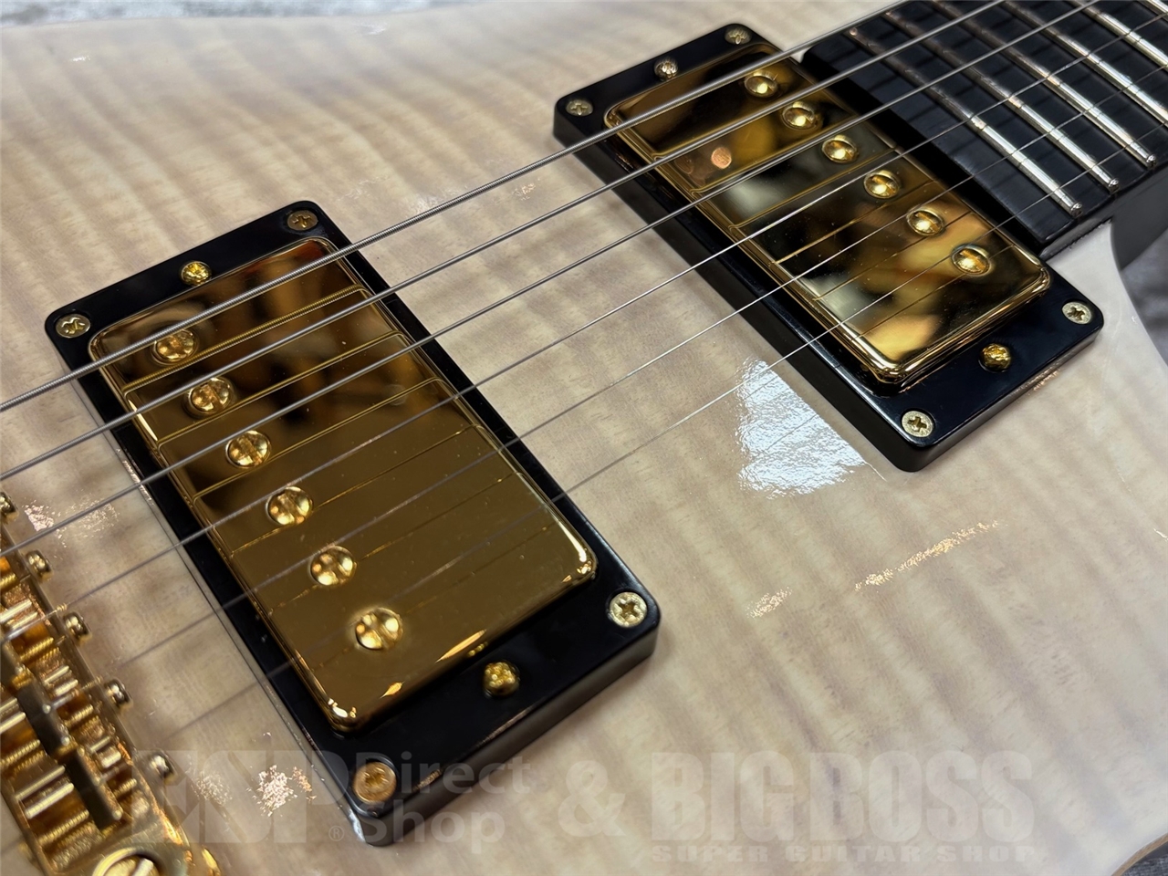 【即納可能】EDWARDS(エドワーズ) E-MYSTIQUE / See Thru White Sunburst GWS - 4