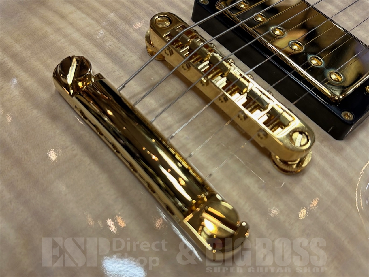 【即納可能】EDWARDS(エドワーズ) E-MYSTIQUE / See Thru White Sunburst GWS - 3
