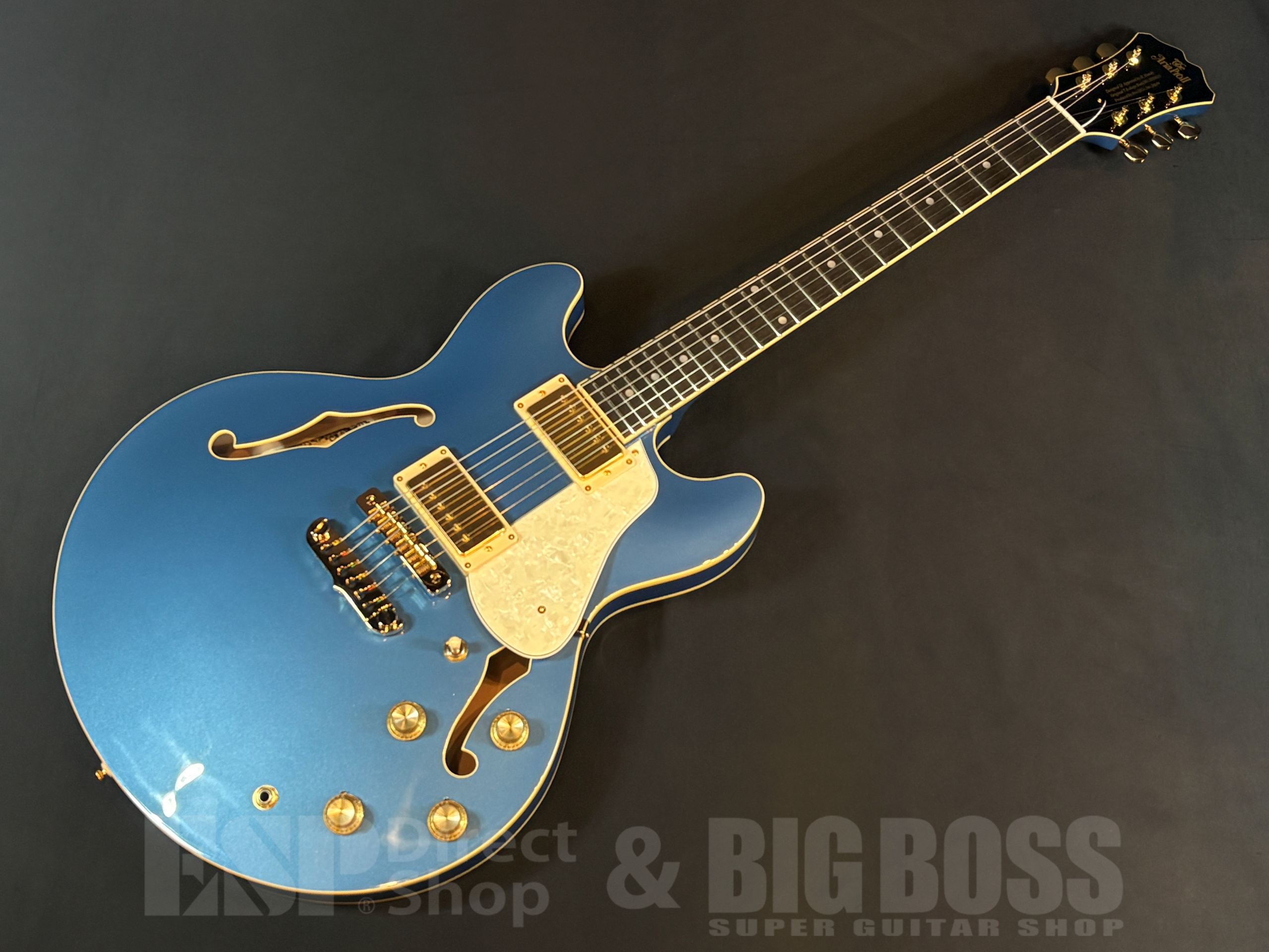 【即納可能】Aria Pro II TA-TONIC / Lake Placid Blue  大阪店