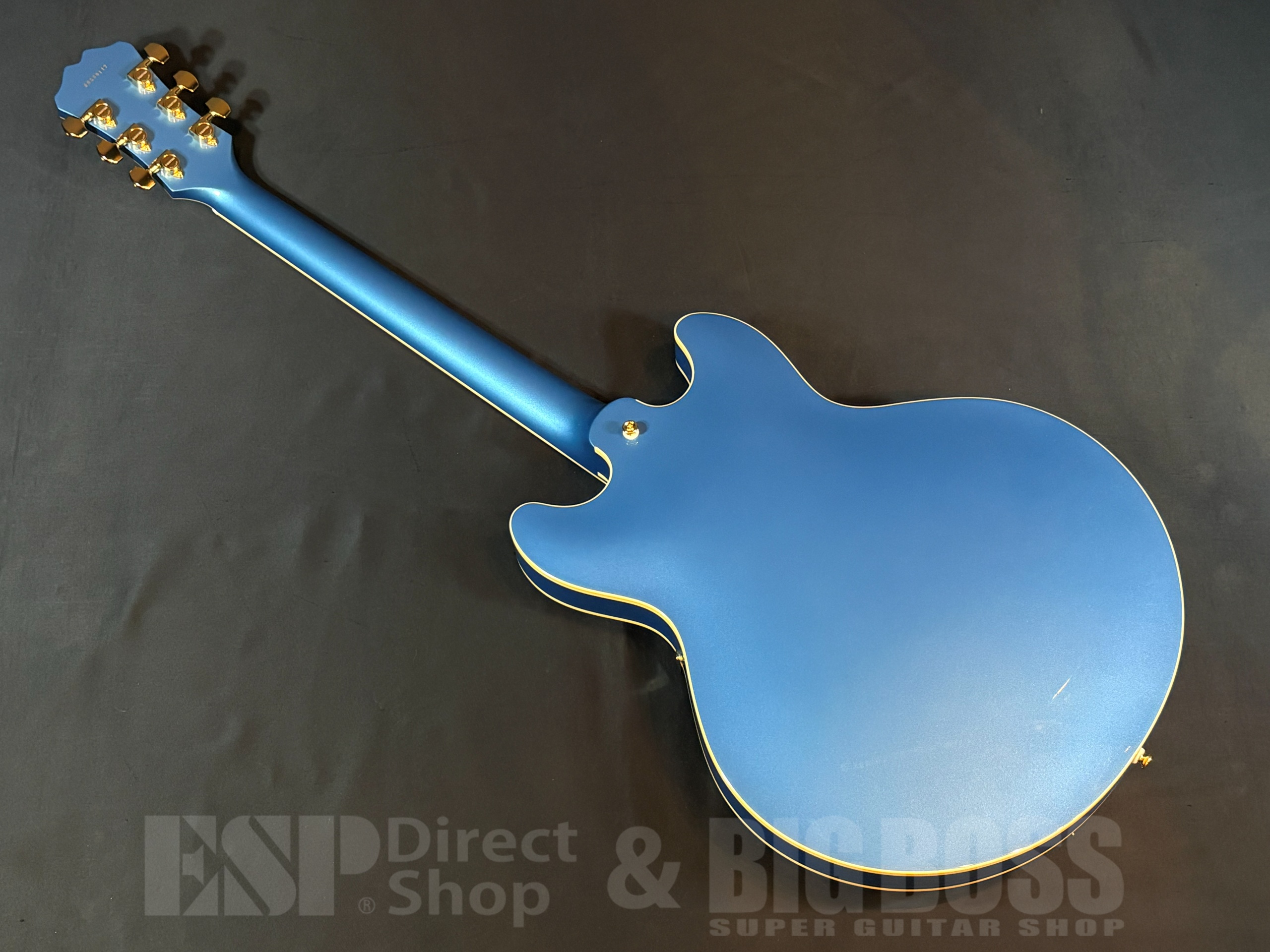 【即納可能】Aria Pro II TA-TONIC / Lake Placid Blue  大阪店 - 6