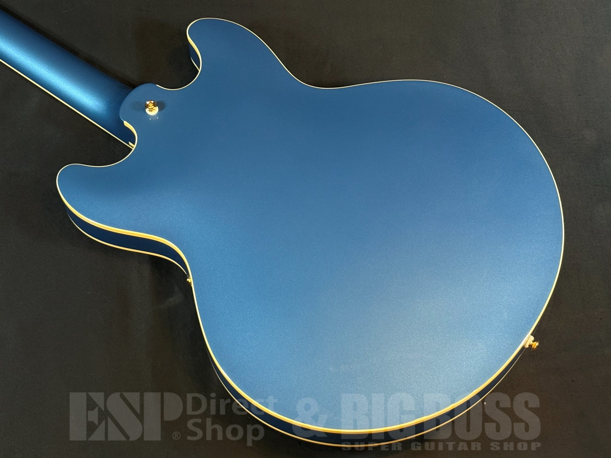 【即納可能】Aria Pro II TA-TONIC / Lake Placid Blue  大阪店 - 7