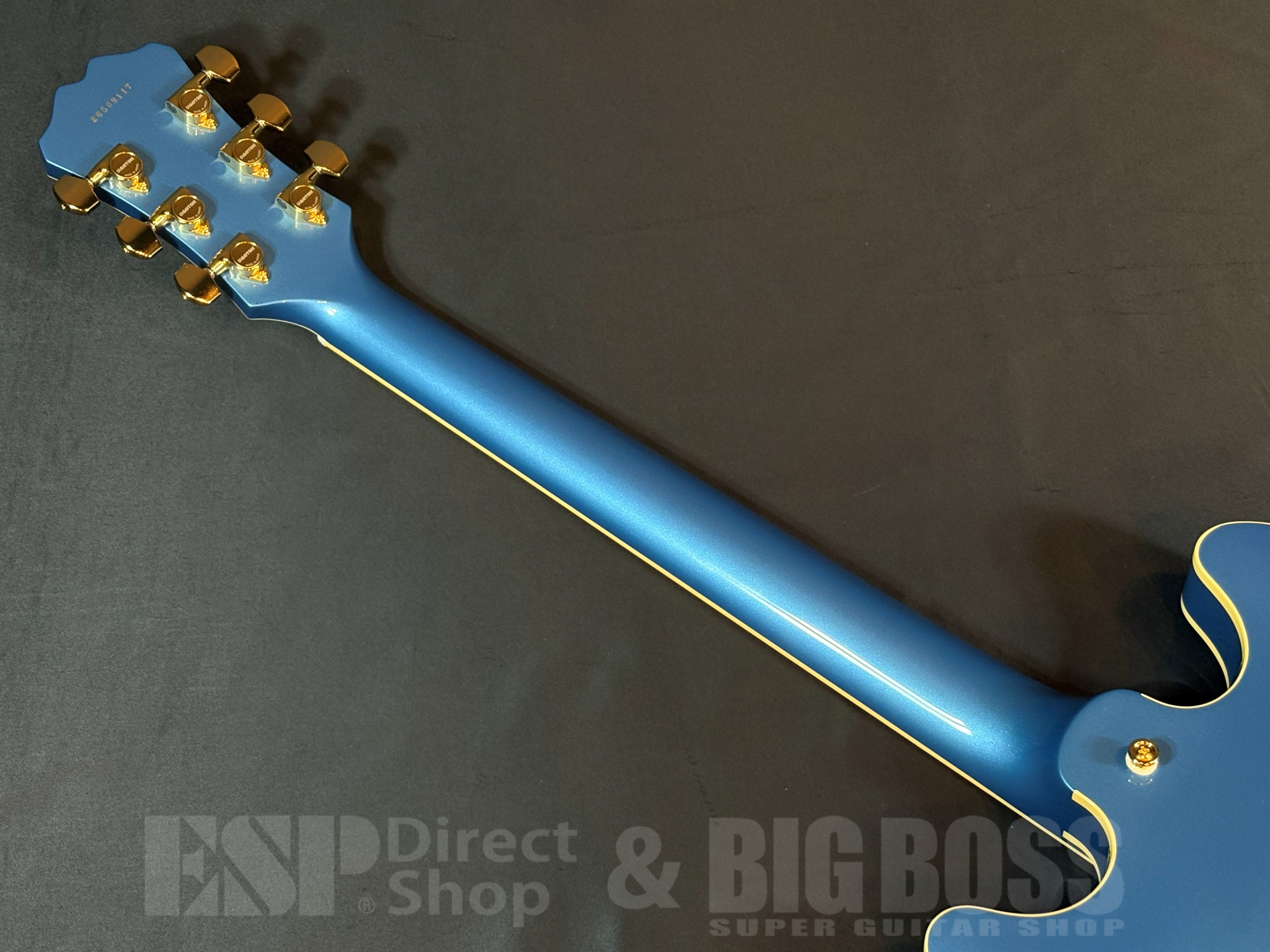 【即納可能】Aria Pro II TA-TONIC / Lake Placid Blue  大阪店 - 8