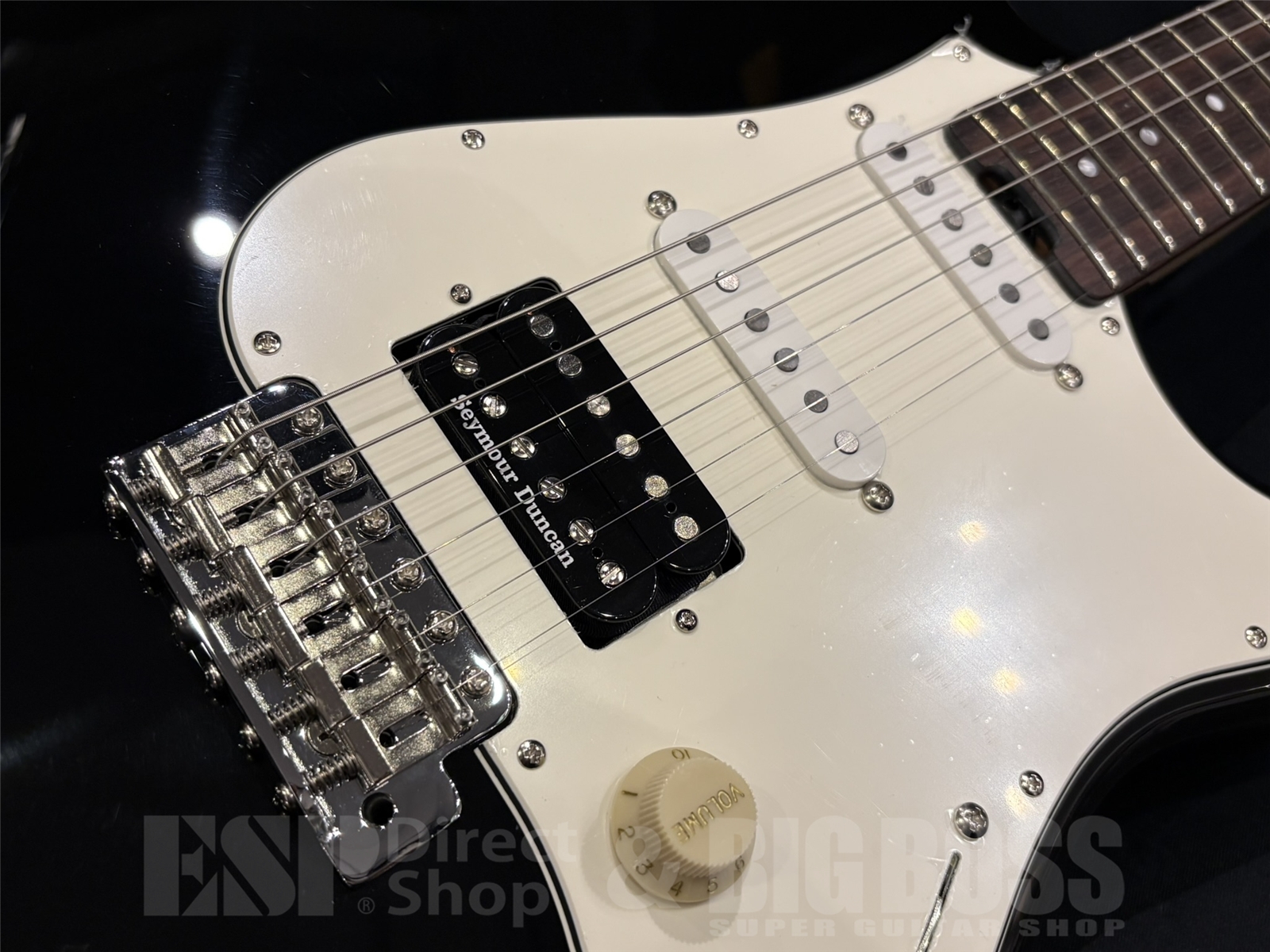 【即納可能】EDWARDS(エドワーズ) Platinum E-TYG2 【9mm Parabellum Bullet 菅原 卓郎 Signature Model】 京都店 - 4