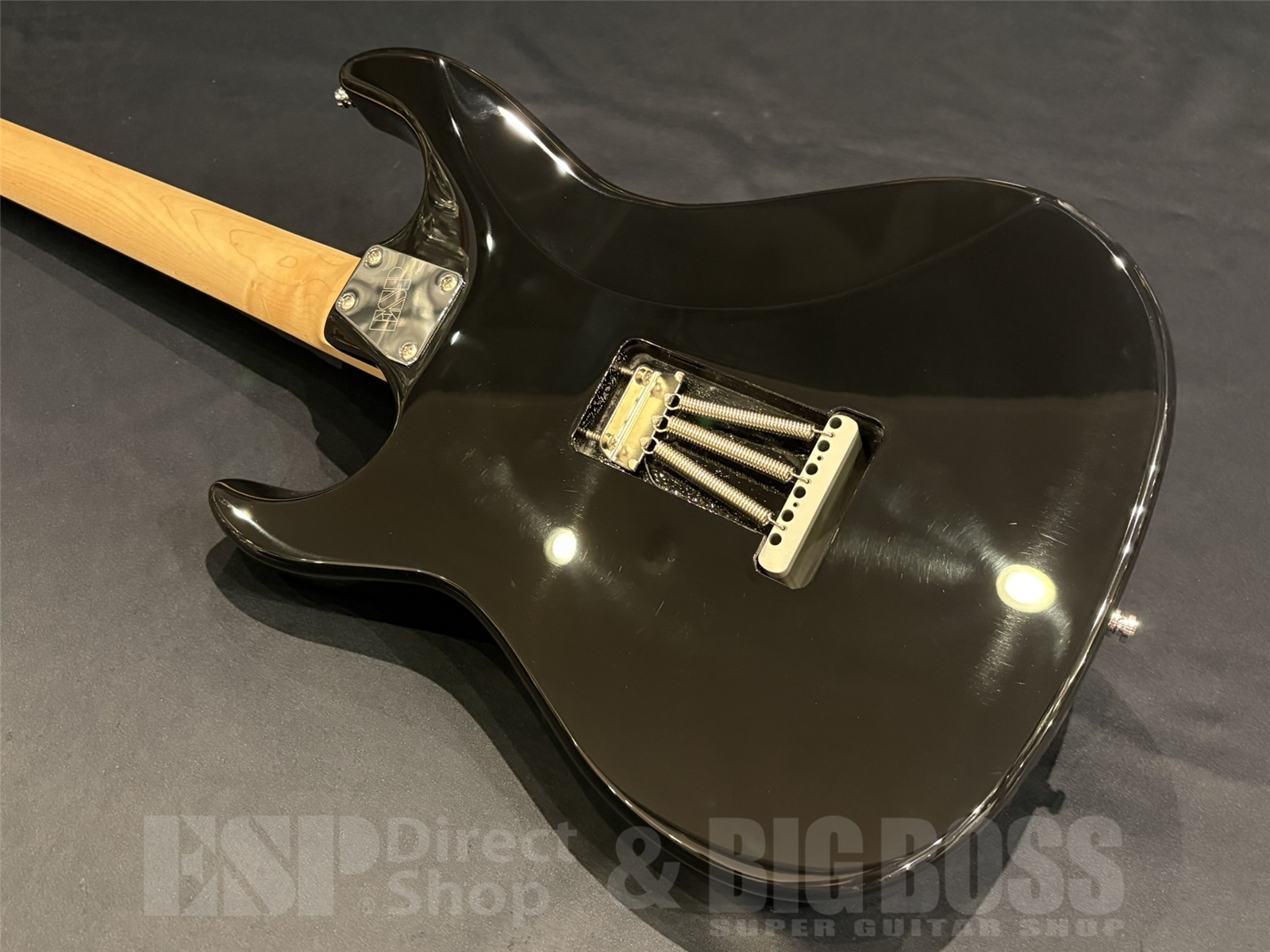 【即納可能】EDWARDS(エドワーズ) Platinum E-TYG2 【9mm Parabellum Bullet 菅原 卓郎 Signature Model】 京都店 - 9