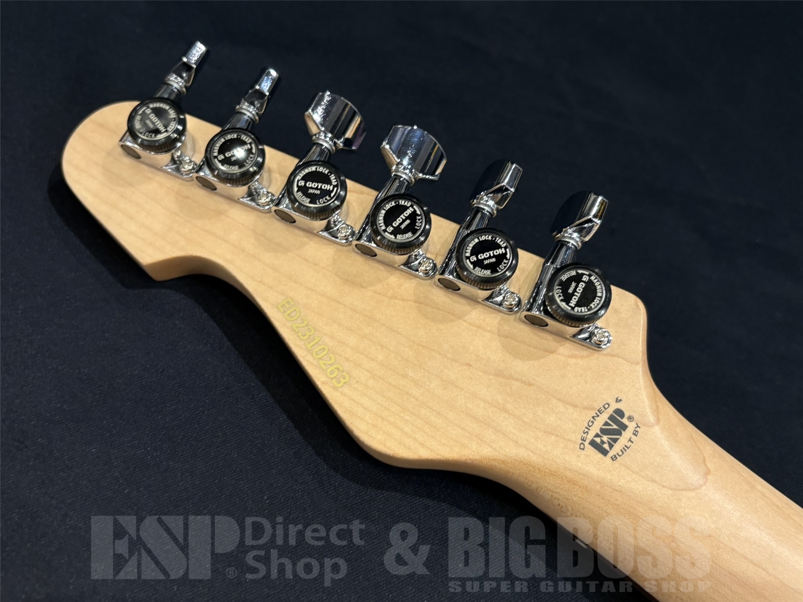 【即納可能】EDWARDS(エドワーズ) Platinum E-TYG2 【9mm Parabellum Bullet 菅原 卓郎 Signature Model】 京都店 - 11