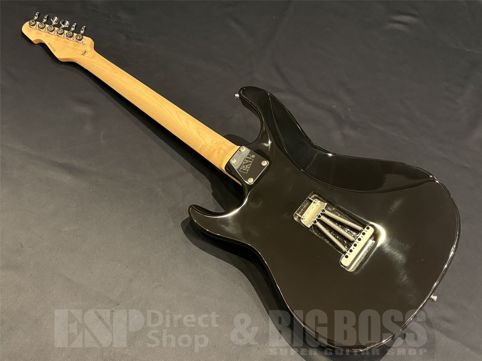 【即納可能】EDWARDS(エドワーズ) Platinum E-TYG2 【9mm Parabellum Bullet 菅原 卓郎 Signature Model】 京都店 - 8