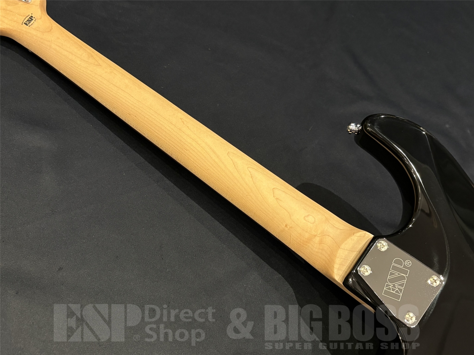 【即納可能】EDWARDS(エドワーズ) Platinum E-TYG2 【9mm Parabellum Bullet 菅原 卓郎 Signature Model】 京都店 - 10