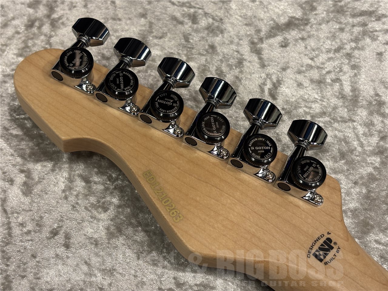 【即納可能】Edwards Platinum（エドワーズプラチナム）E-TYG2（菅原 卓郎/9mm Parabellum Bullet、キツネツキ）　名古屋店 - 6