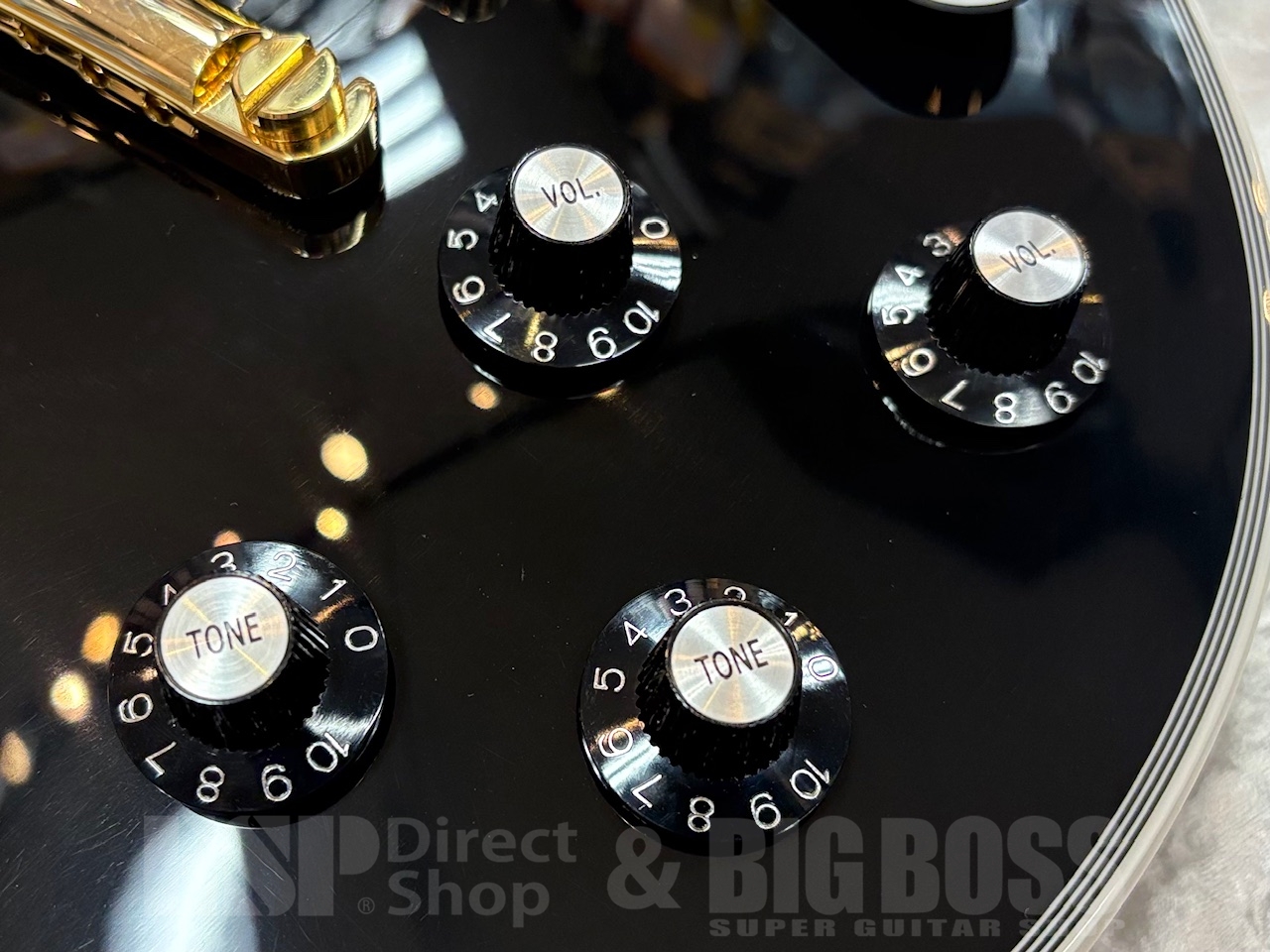 【即納可能】EDWARDS(エドワーズ)E-LP-CTM/P /Black GWS