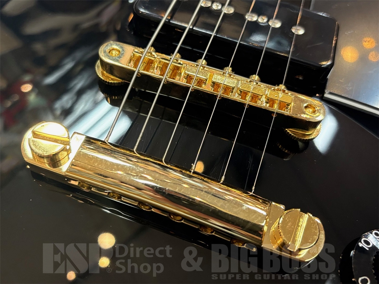 【即納可能】EDWARDS(エドワーズ)E-LP-CTM/P /Black GWS