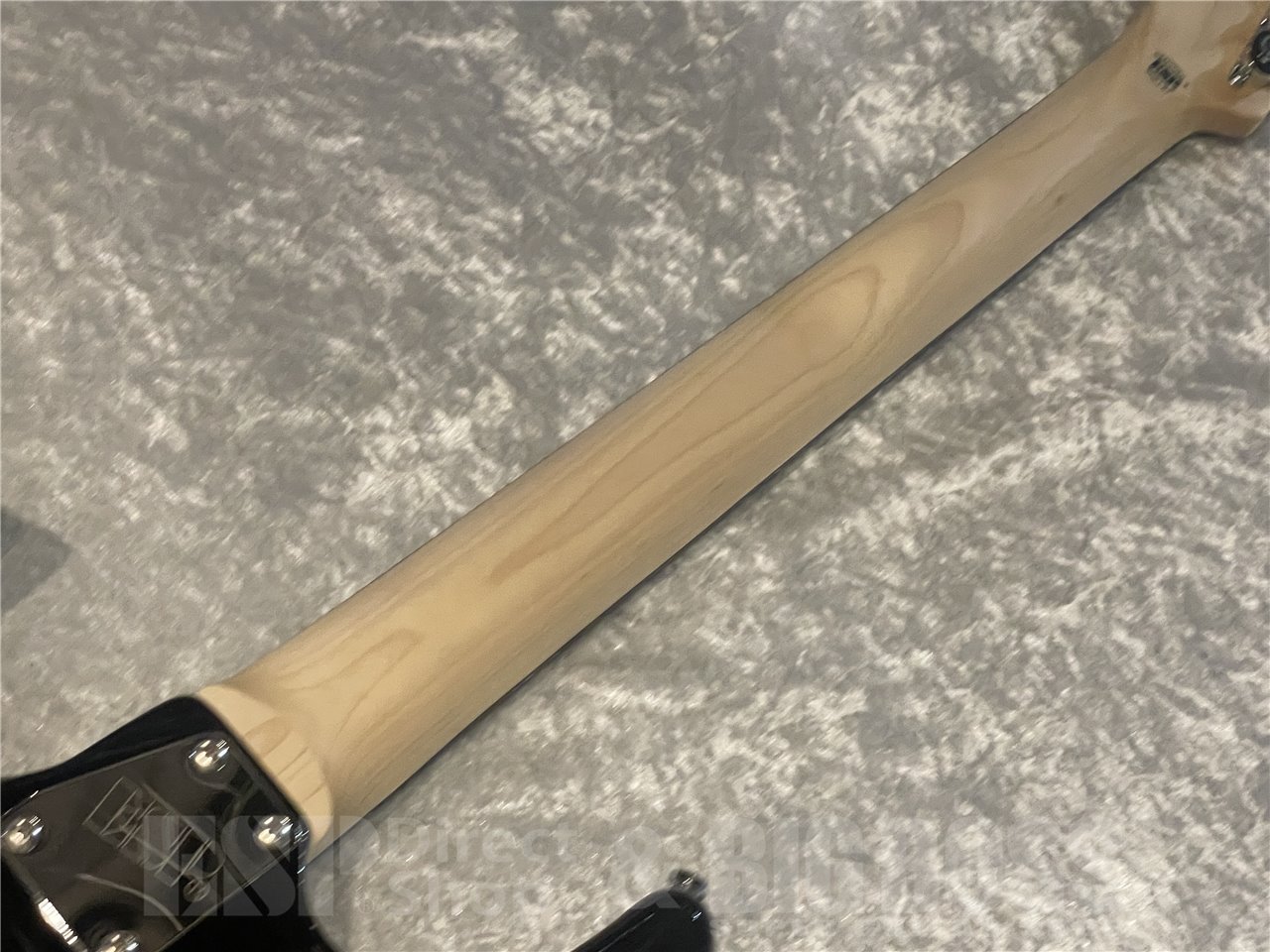 【即納可能】EDWARDS Platinum（エドワーズプラチナム）E-TYG2（菅原 卓郎/9mm Parabellum Bullet、キツネツキ)広島店 - 7