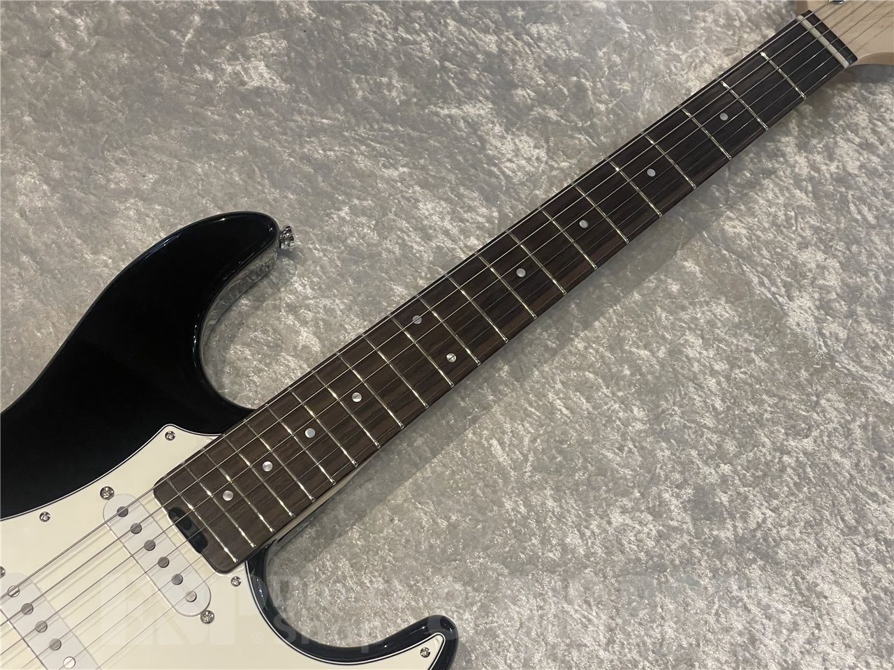 【即納可能】EDWARDS Platinum（エドワーズプラチナム）E-TYG2（菅原 卓郎/9mm Parabellum Bullet、キツネツキ)広島店 - 3