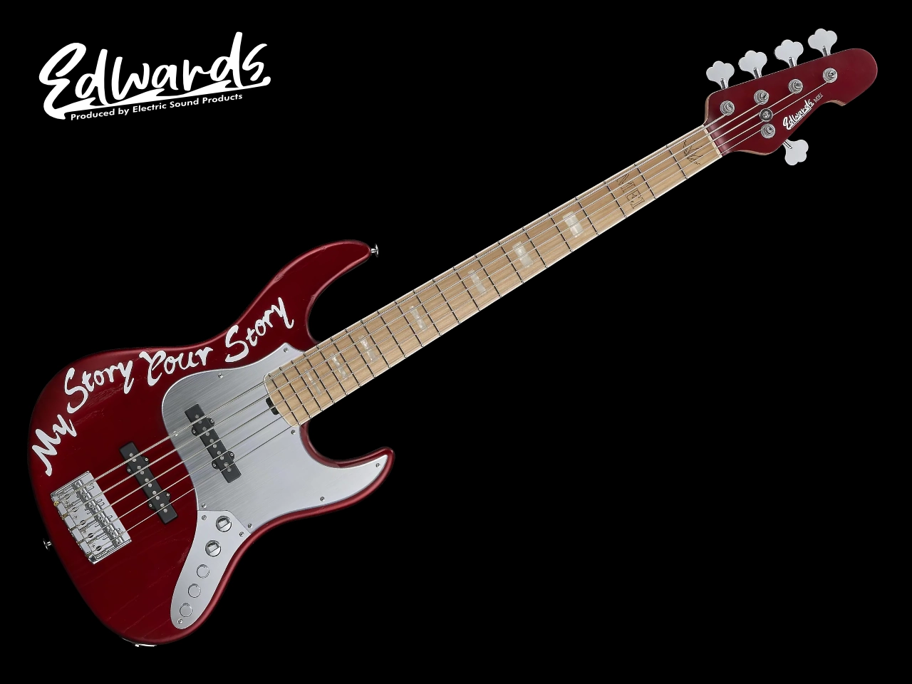 【お取寄せ商品】EDWARDS(エドワーズ) E-AMAZE-AS-5 MEI Custom (MEI Model)