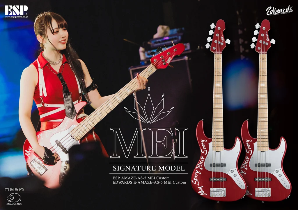 【お取寄せ商品】EDWARDS(エドワーズ) E-AMAZE-AS-5 MEI Custom (MEI Model) - 4
