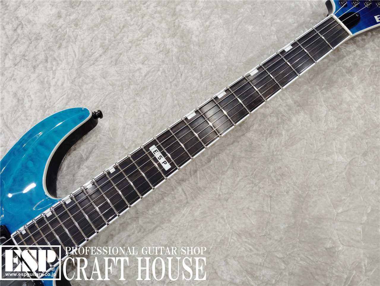 【即納可能】E-II HORIZON NT-II / Blue-Purple Gradation 渋谷店