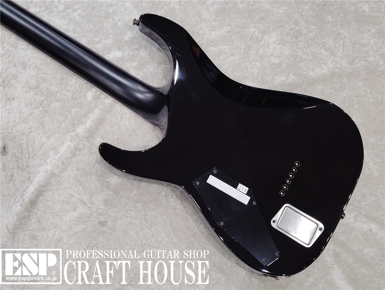 【即納可能】E-II HORIZON NT-II / Blue-Purple Gradation 渋谷店