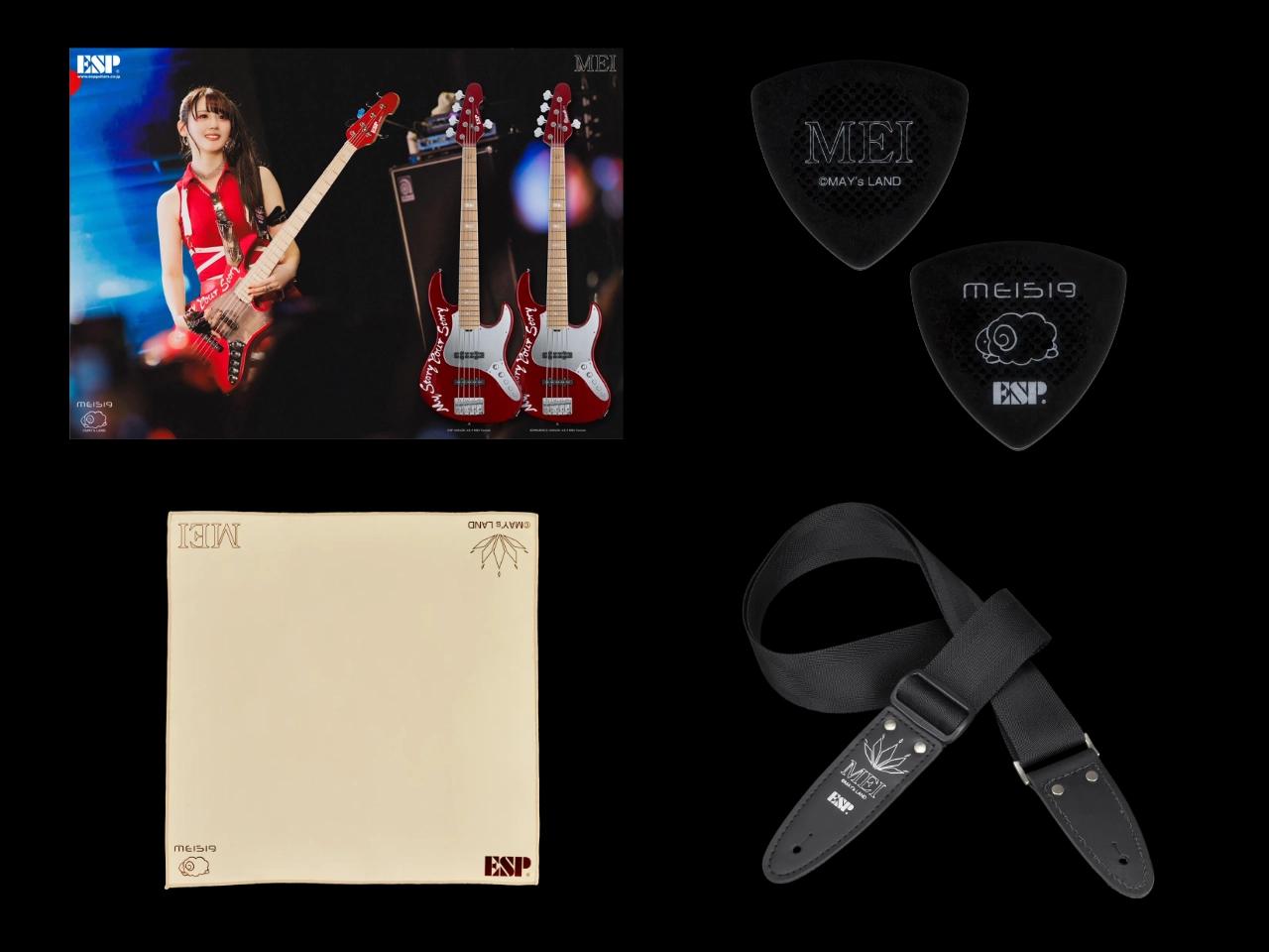 【お取寄せ商品】EDWARDS(エドワーズ) E-AMAZE-AS-5 MEI Custom (MEI Model) - 3
