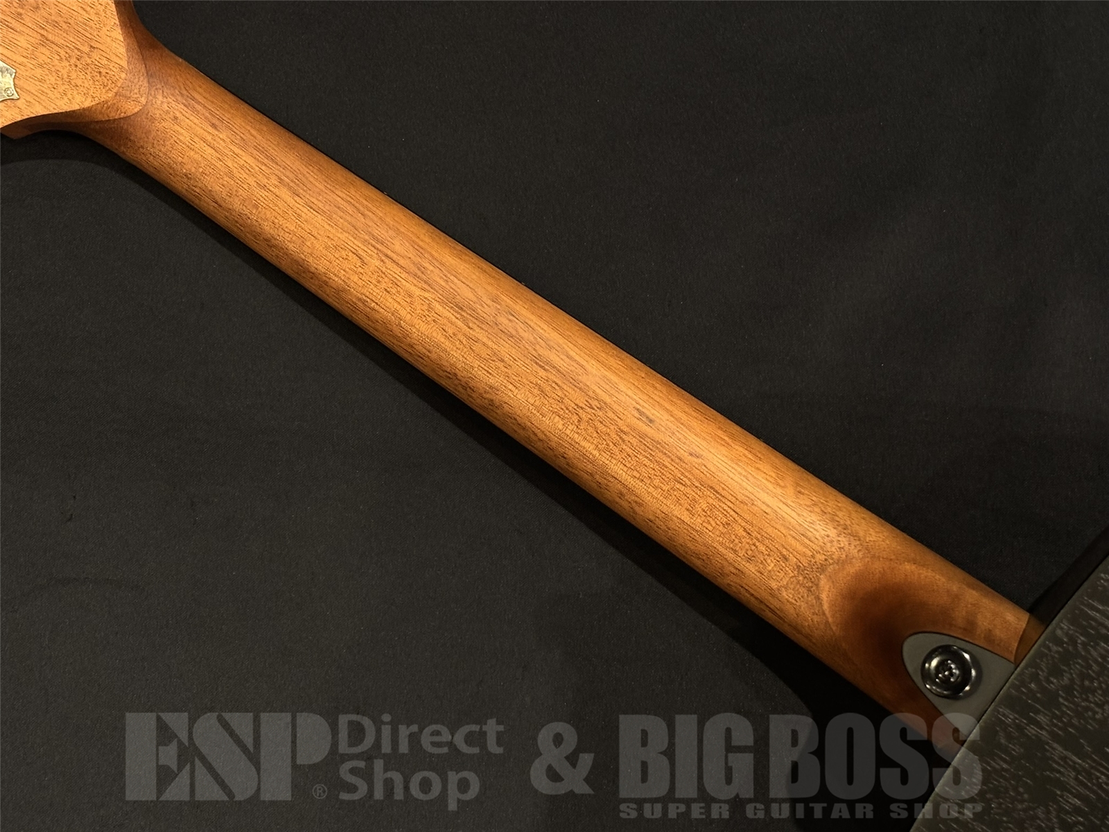 【即納可能】LAG Guitars(ラグギターズ ) T70A / BLACK & BROWN 京都店 - 10