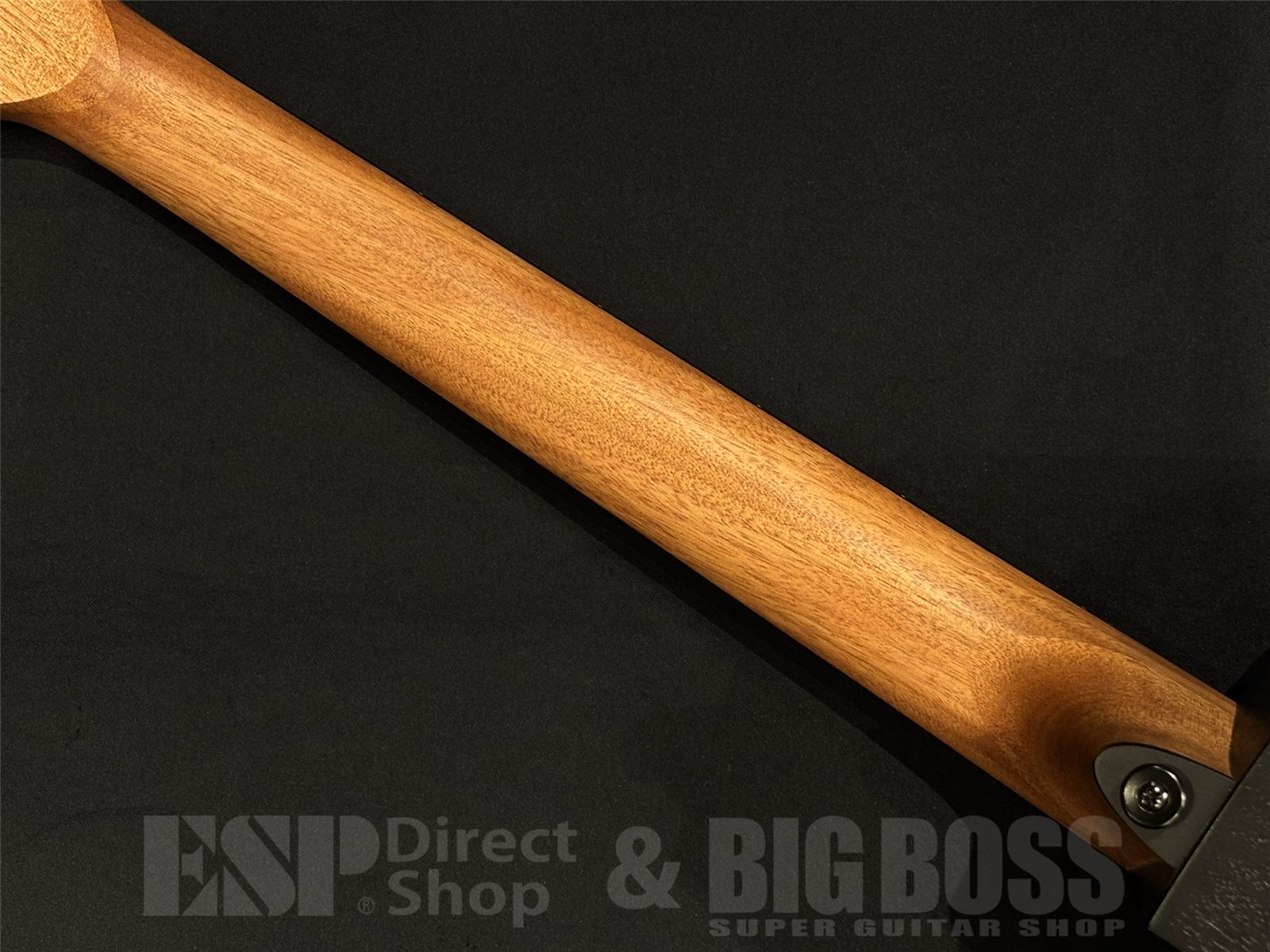 【即納可能】LAG Guitars(ラグギターズ) T70ACE / BLACK & BROWN 京都店 - 10